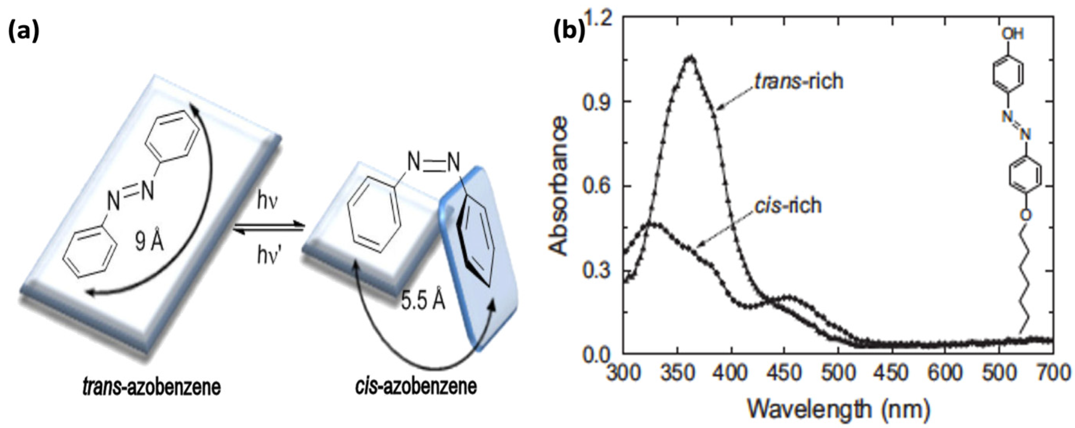 Nanomaterials 11 02211 g004