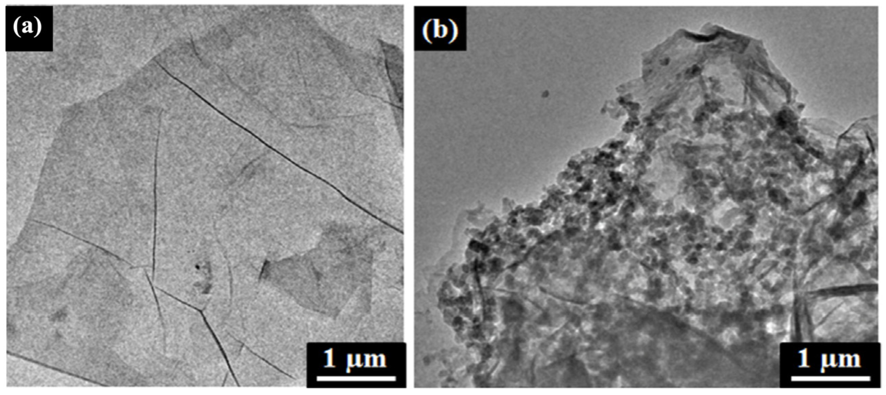 Nanomaterials 11 02211 g024