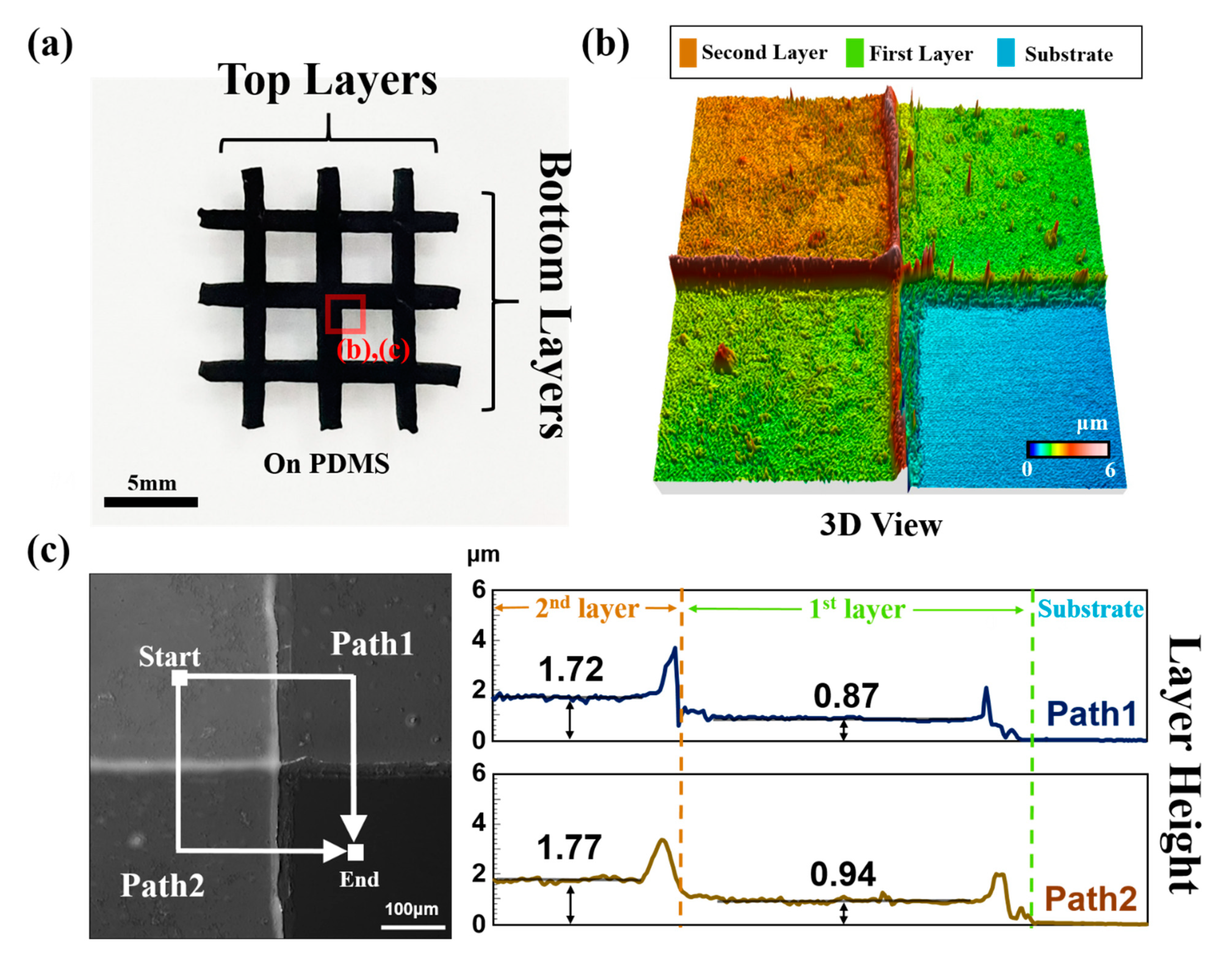 Nanomaterials 11 02213 g002