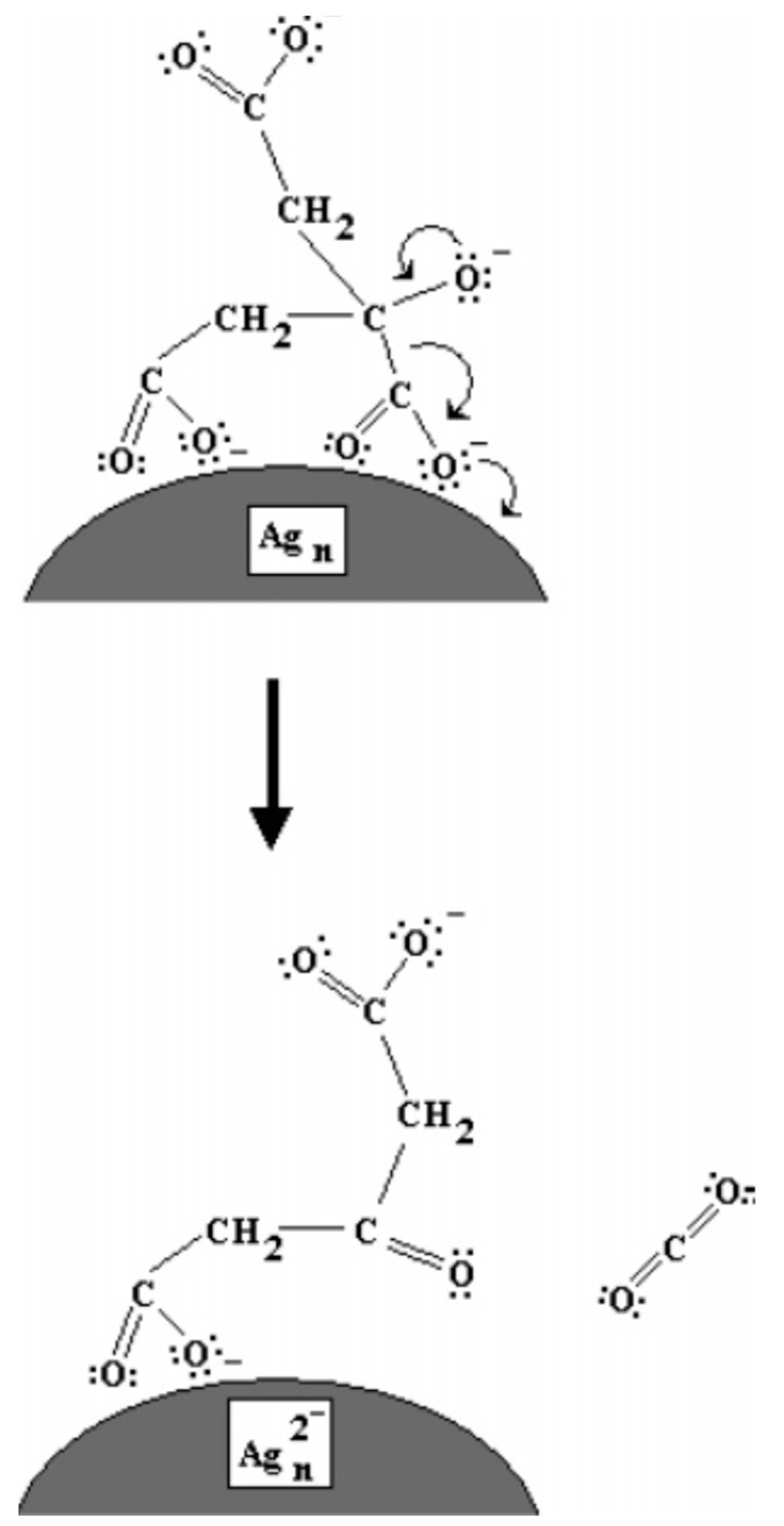 Nanomaterials 11 02226 g003