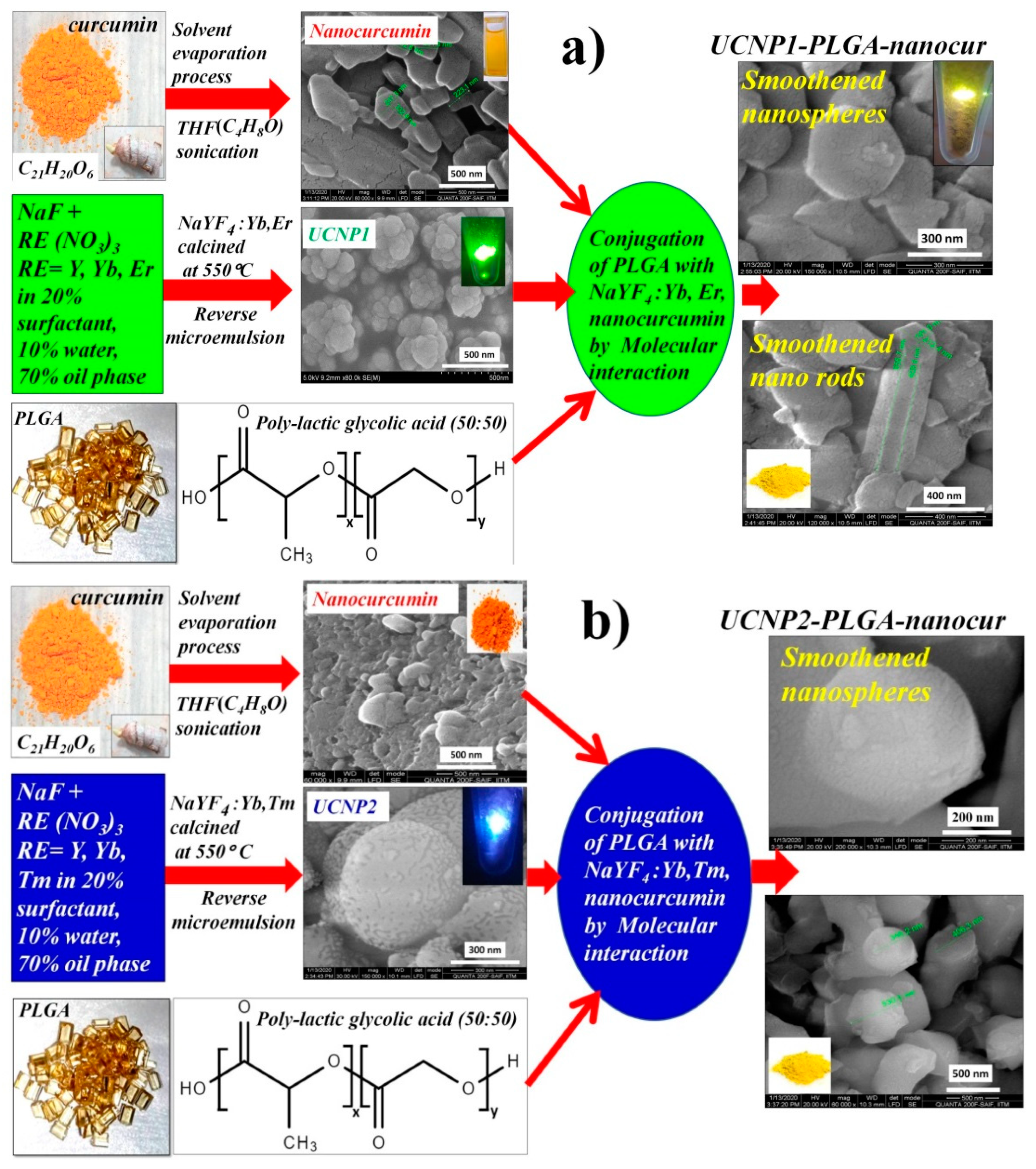 Nanomaterials 11 02234 g001