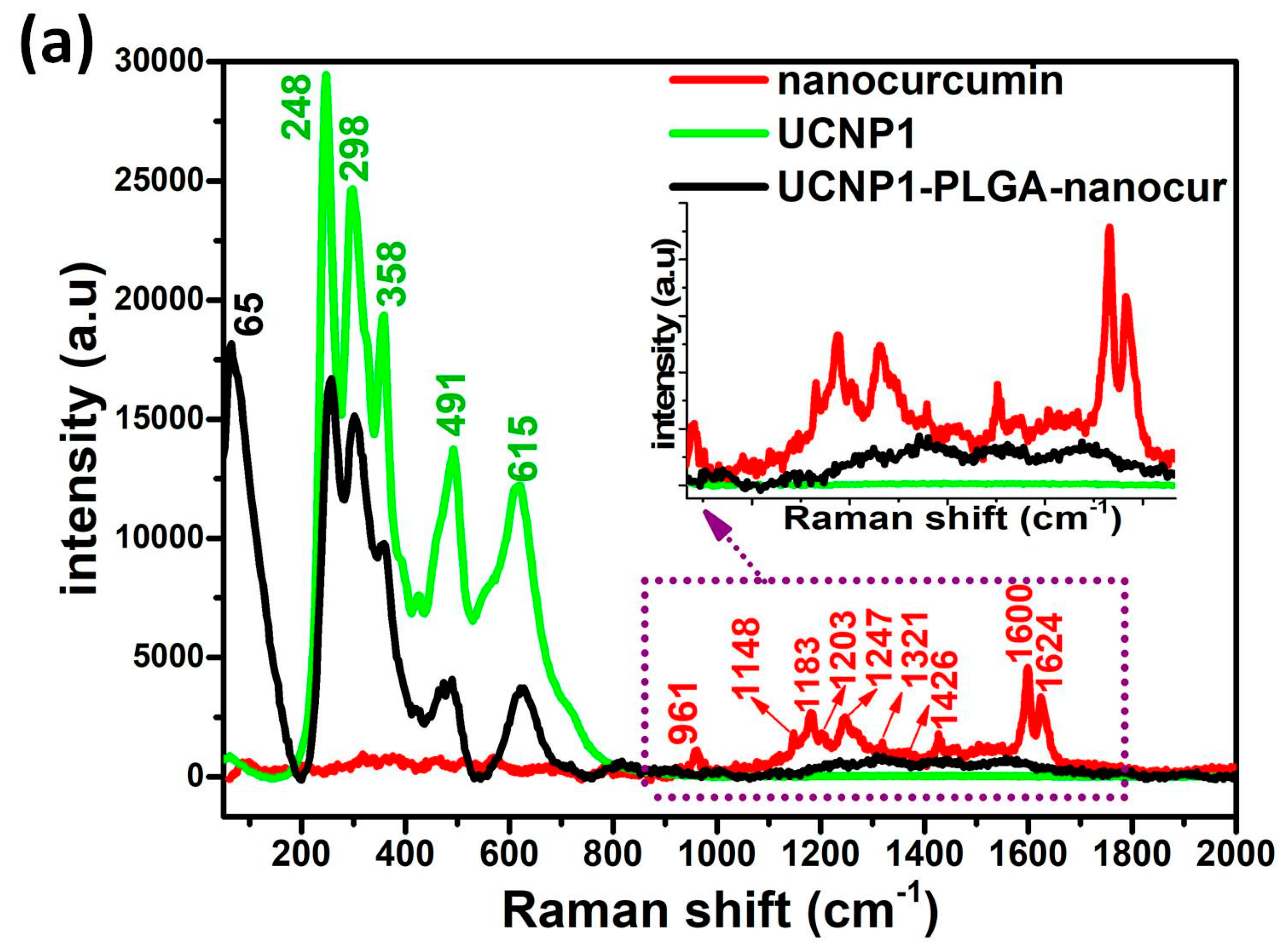 Nanomaterials 11 02234 g005a