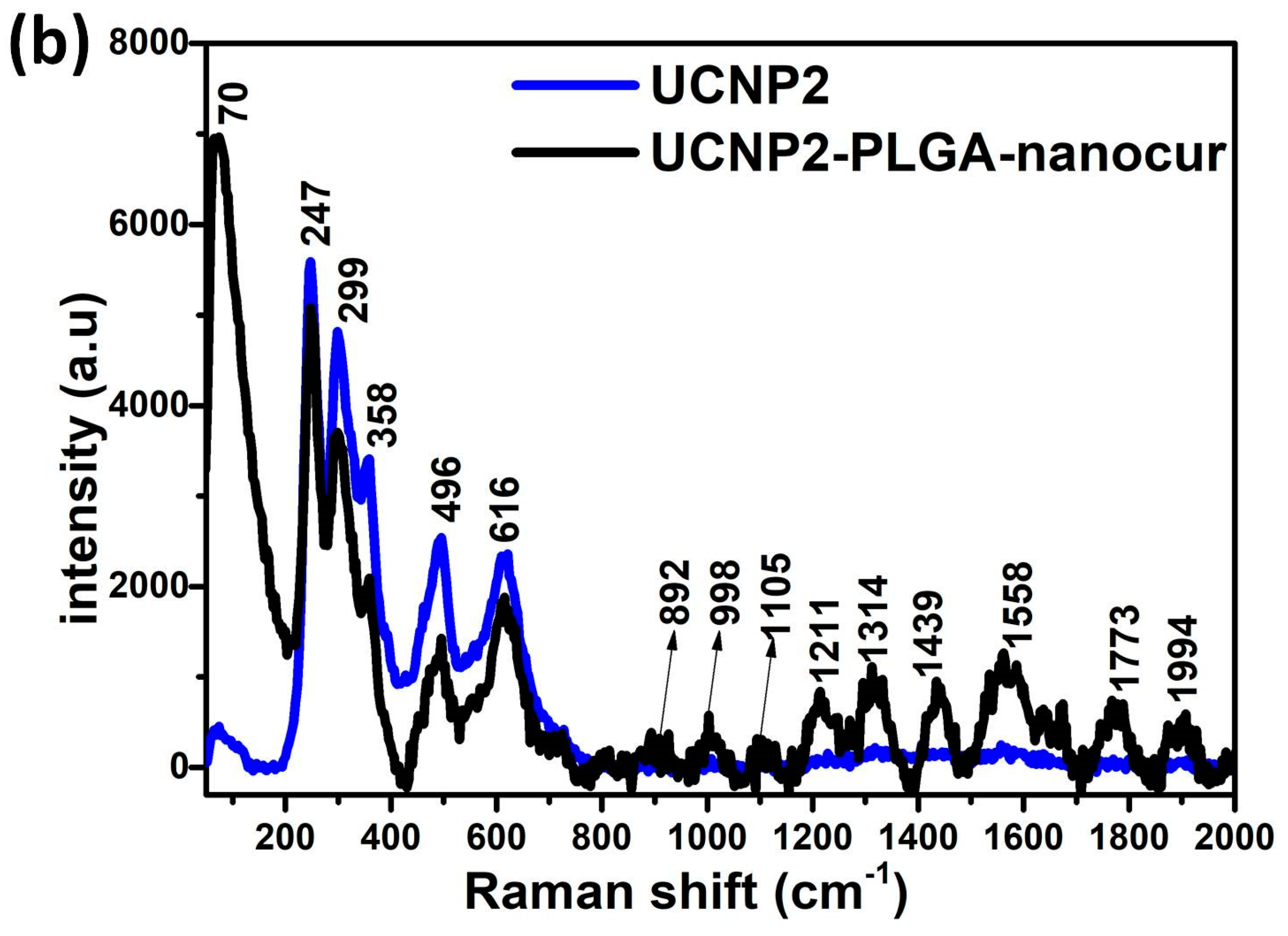 Nanomaterials 11 02234 g005b