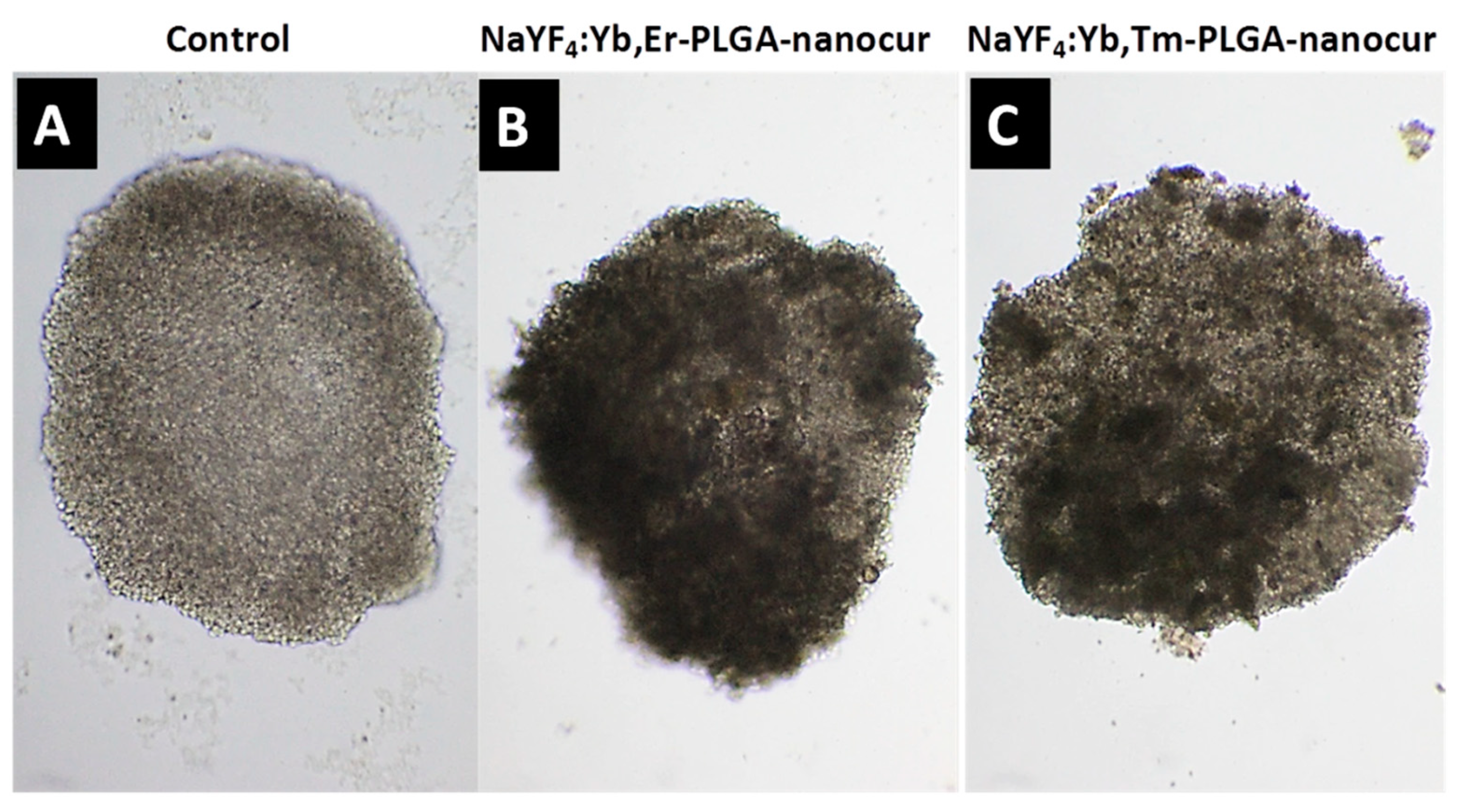Nanomaterials 11 02234 g009