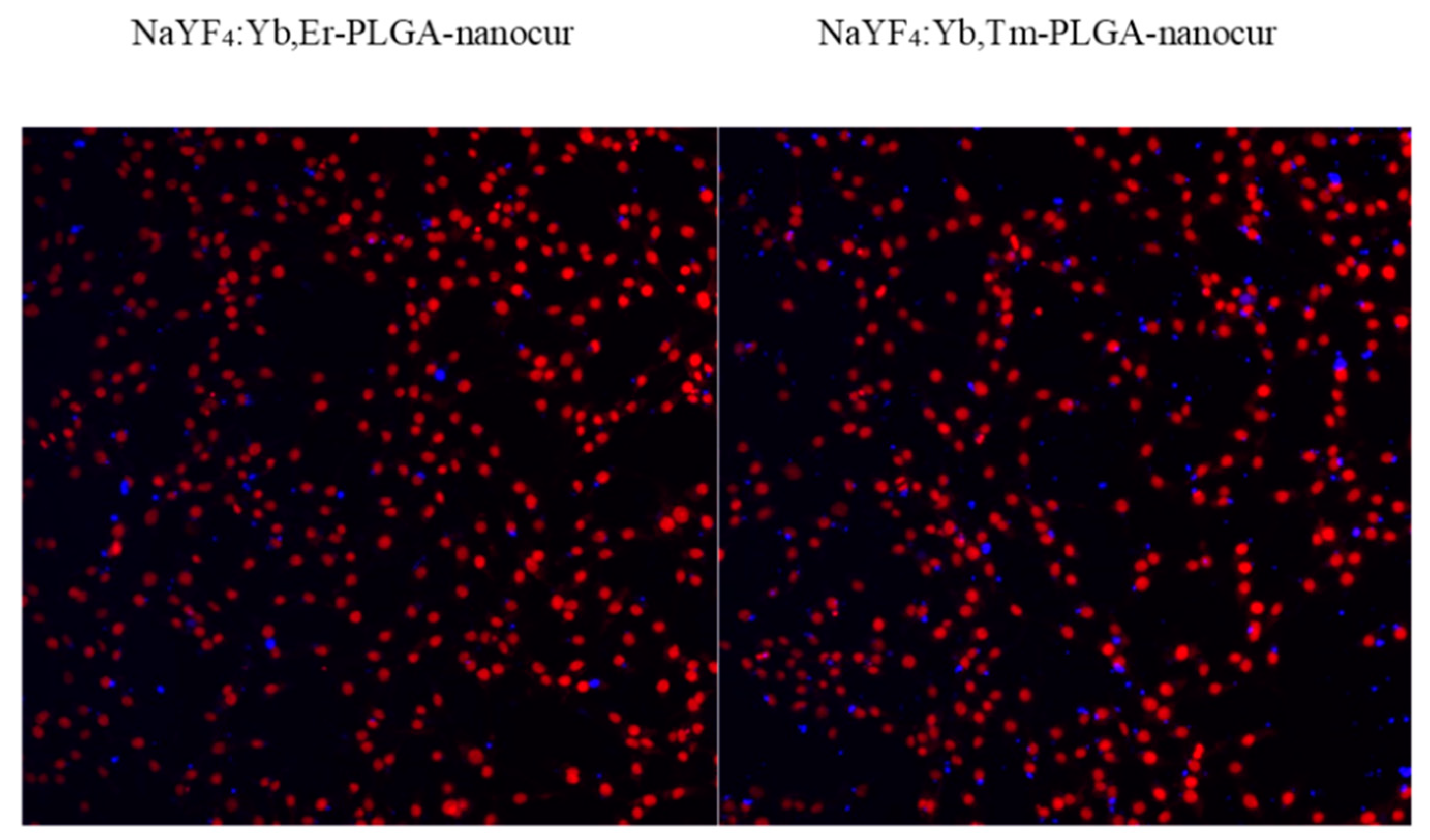 Nanomaterials 11 02234 g012