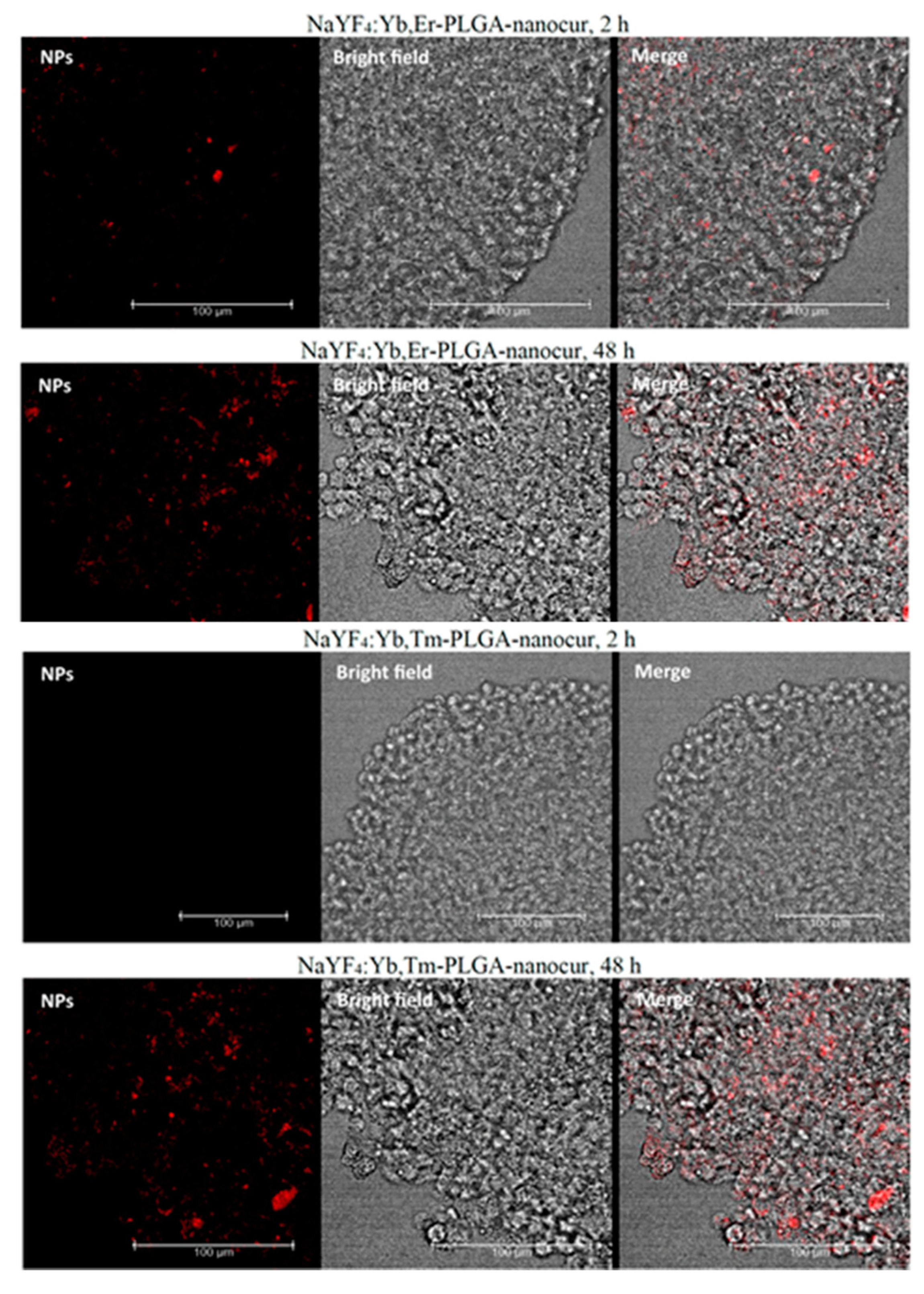 Nanomaterials 11 02234 g013