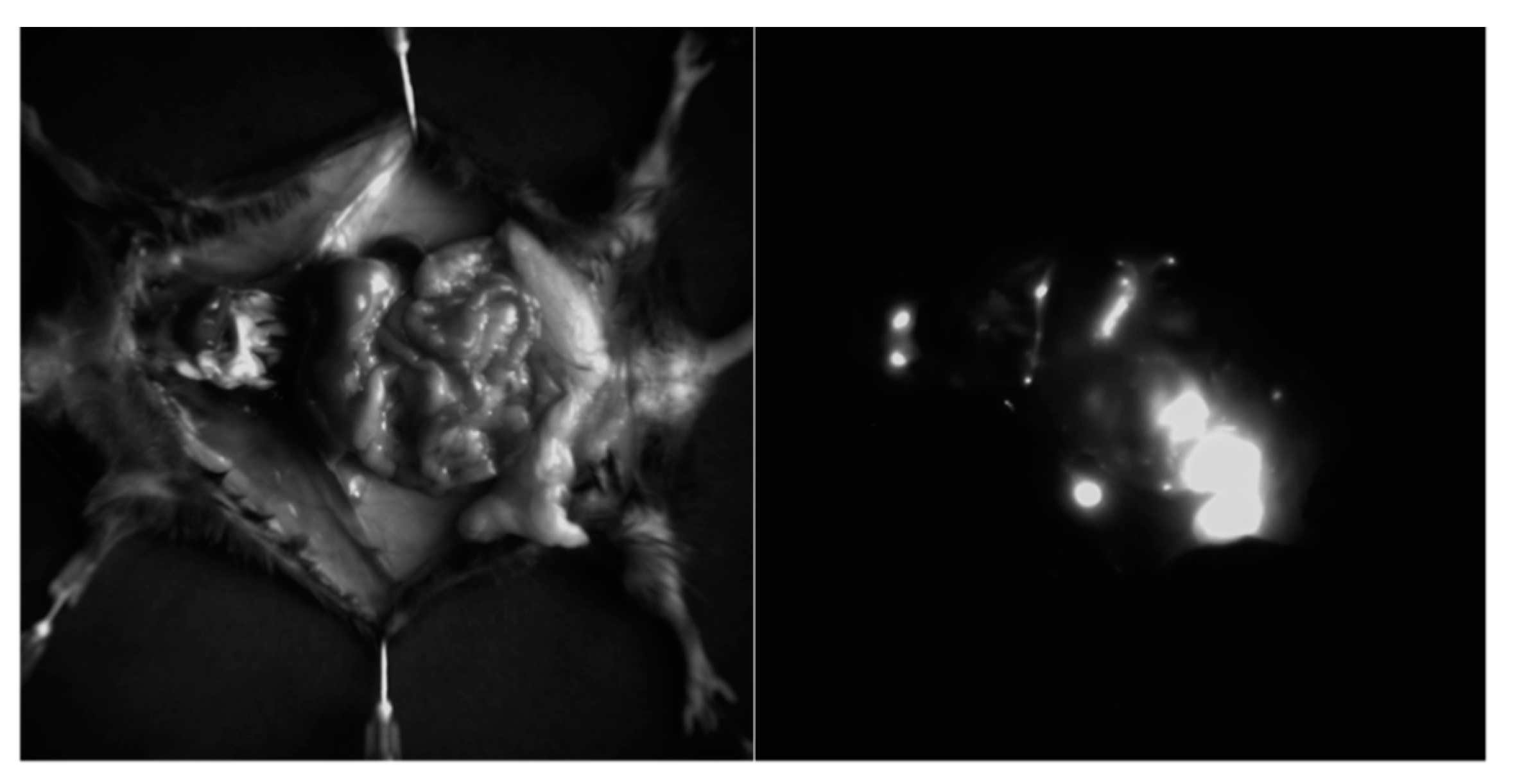 Nanomaterials 11 02234 g014