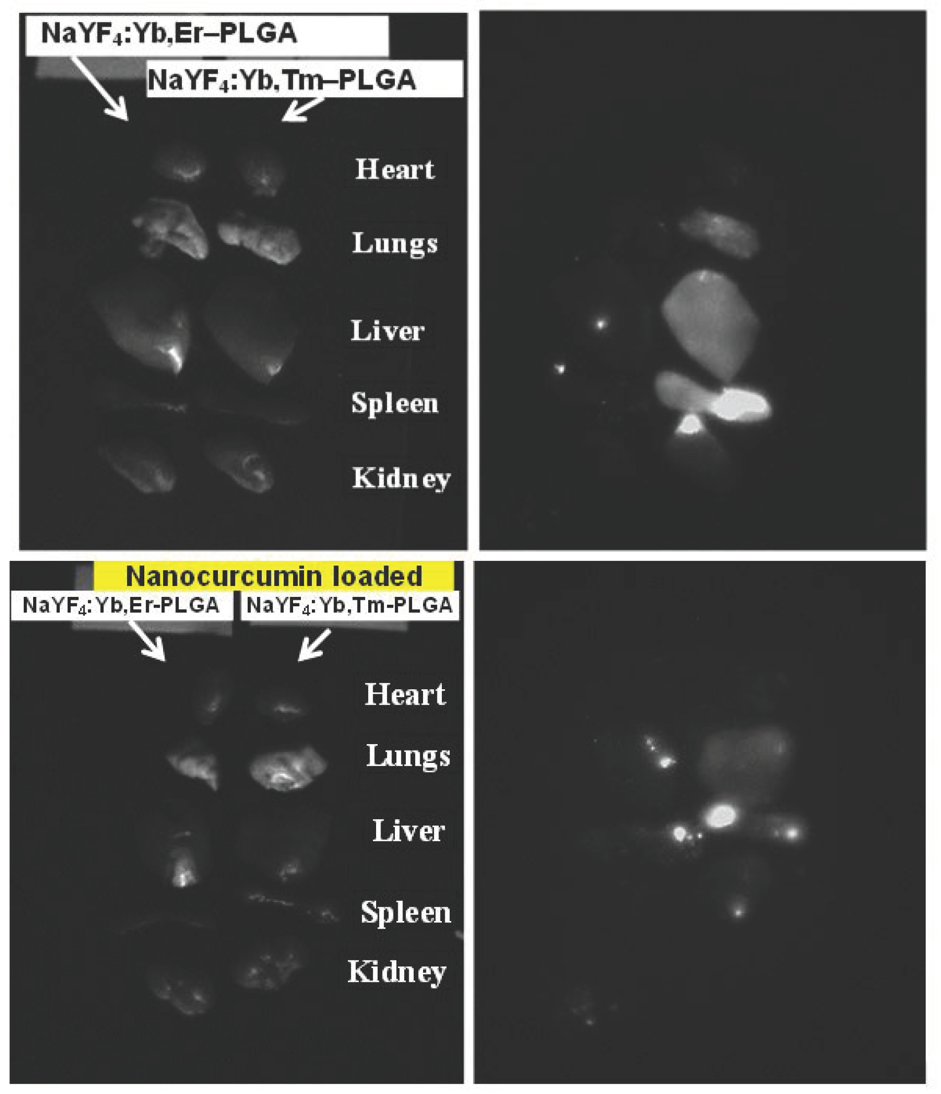 Nanomaterials 11 02234 g015
