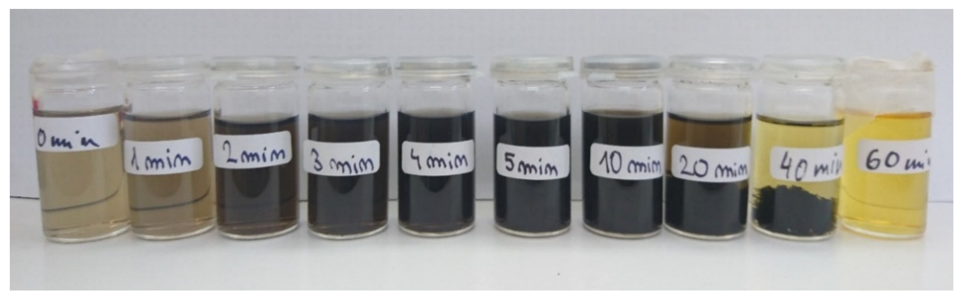 Nanomaterials 11 02251 g001