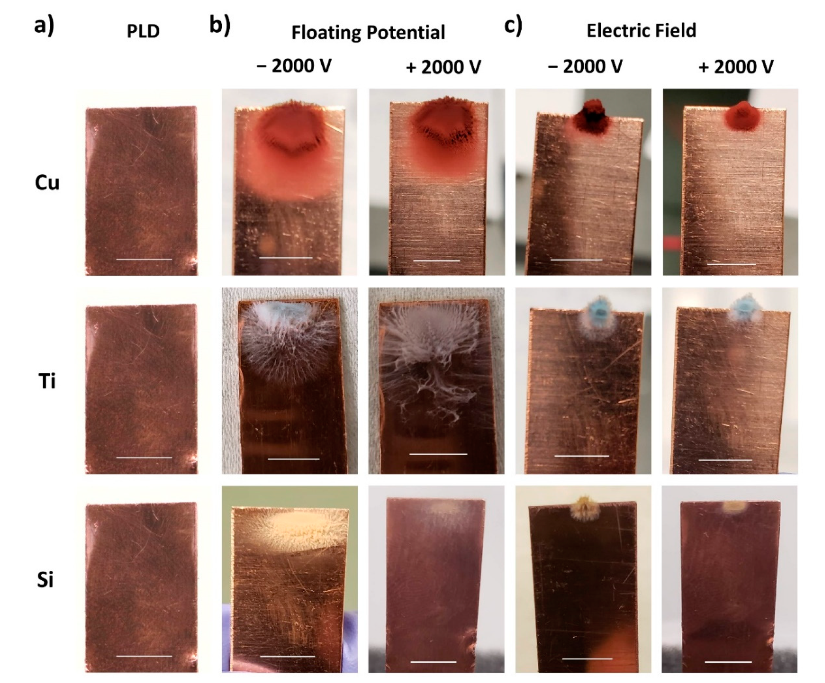 Nanomaterials 11 02264 g003