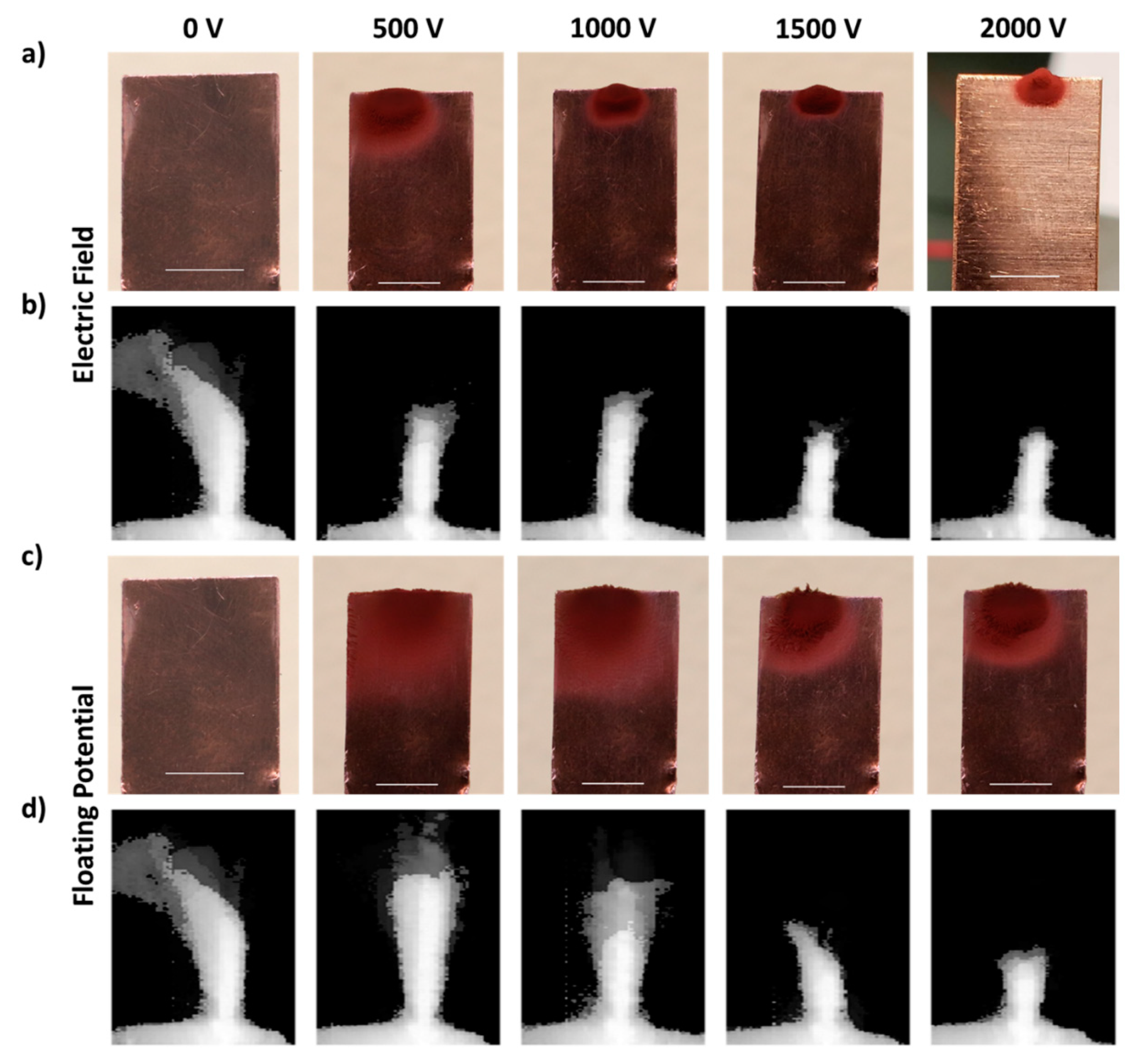 Nanomaterials 11 02264 g004
