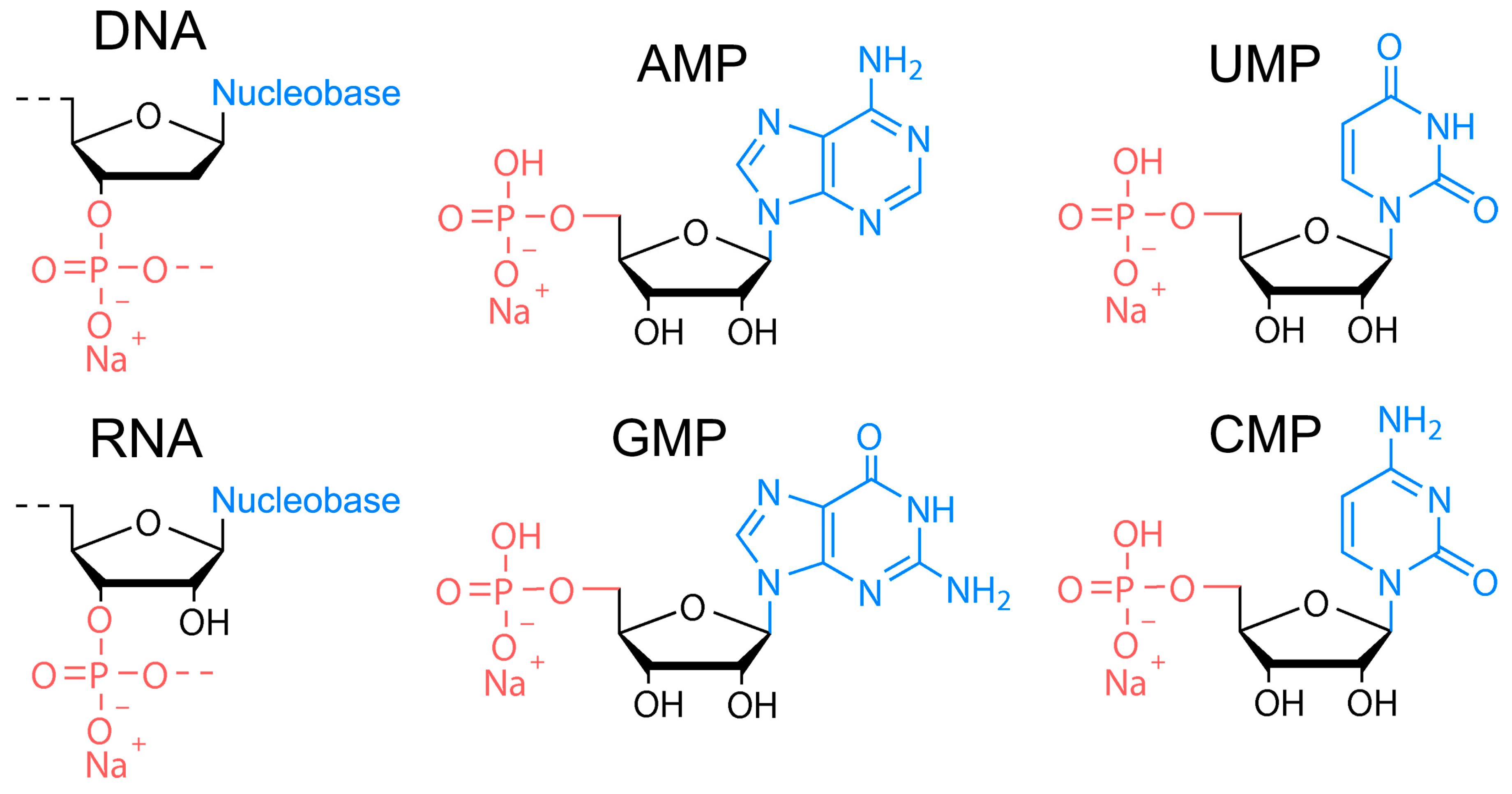 Nanomaterials 11 02265 g001