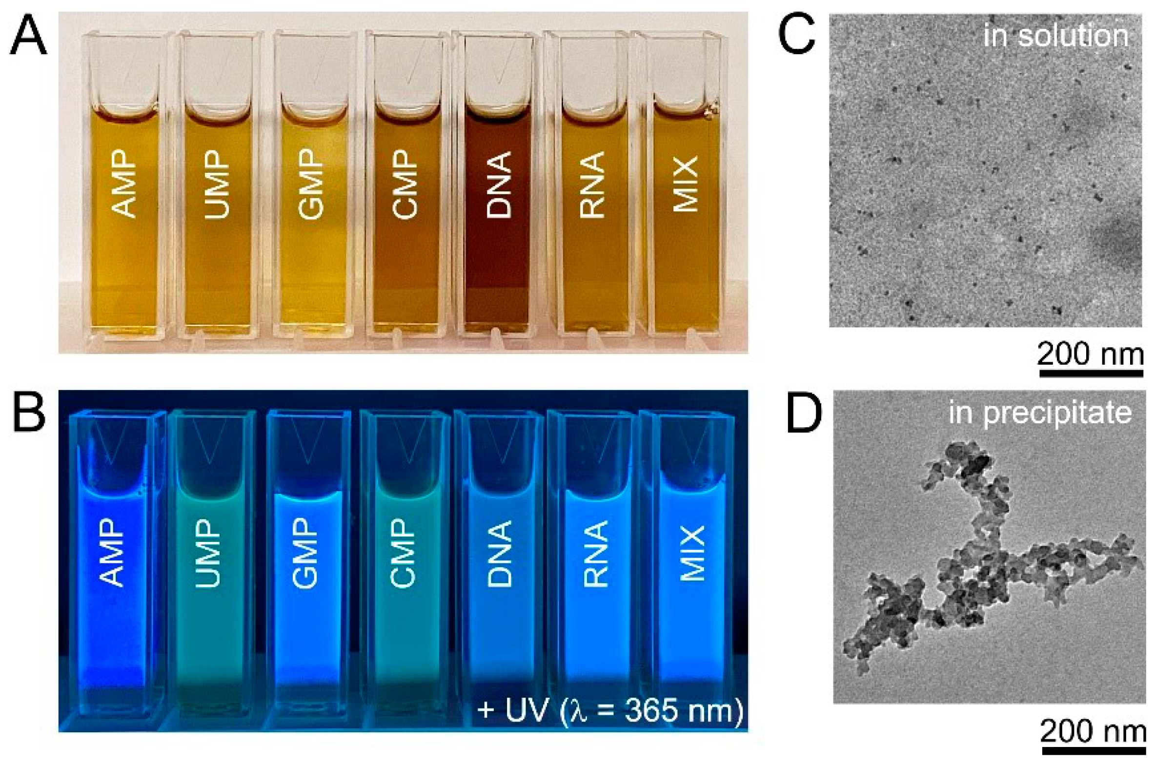 Nanomaterials 11 02265 g002