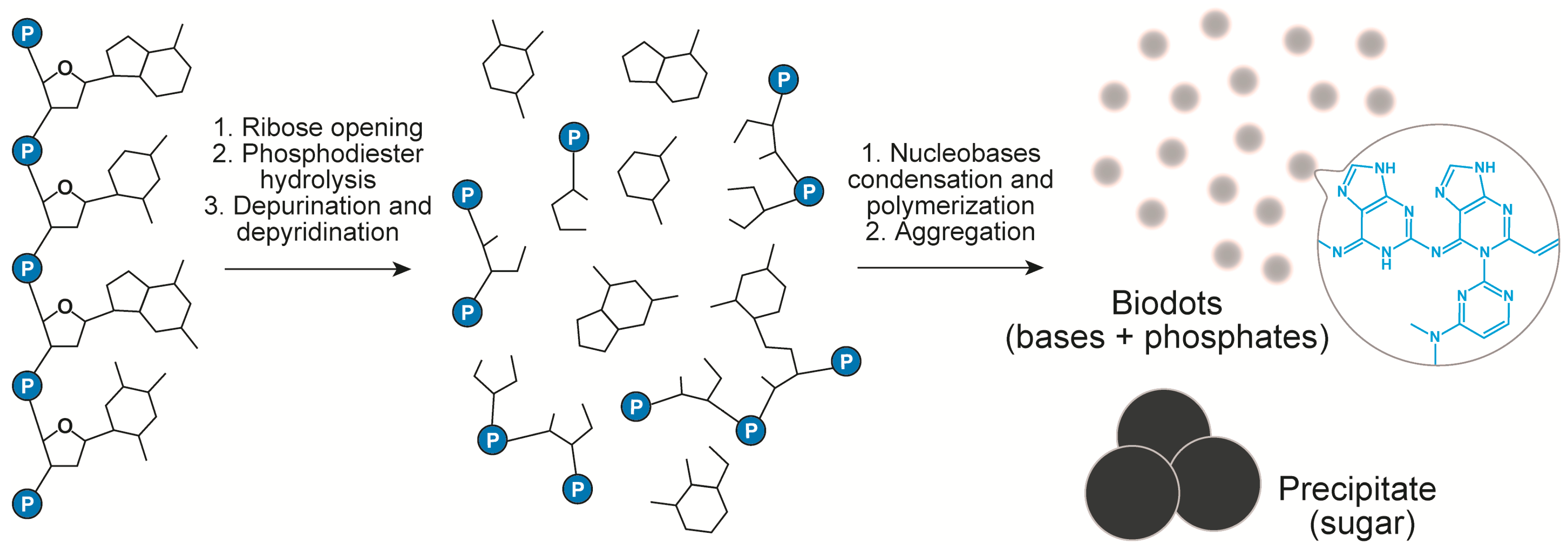 Nanomaterials 11 02265 g004