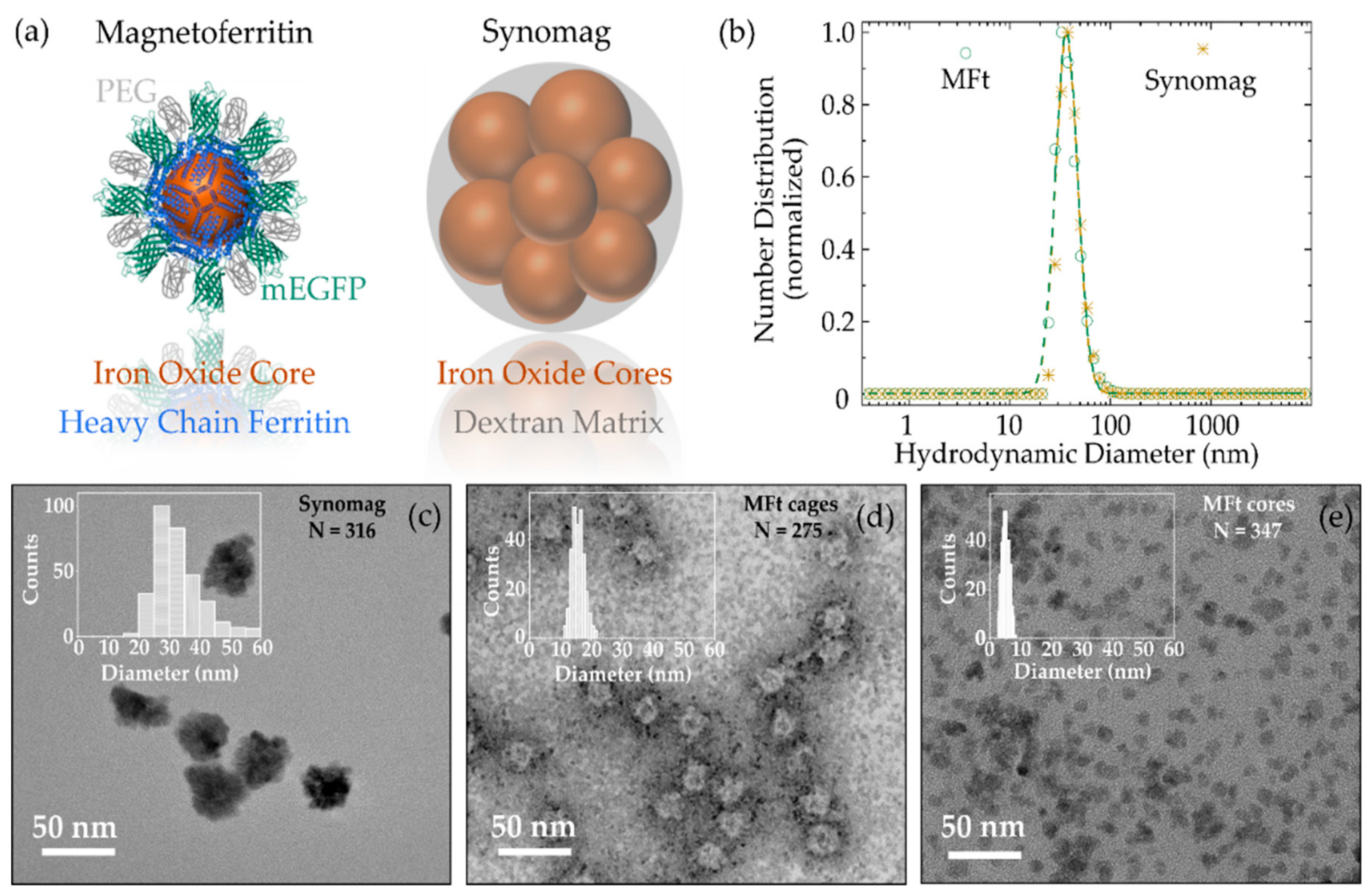 Nanomaterials 11 02267 g001