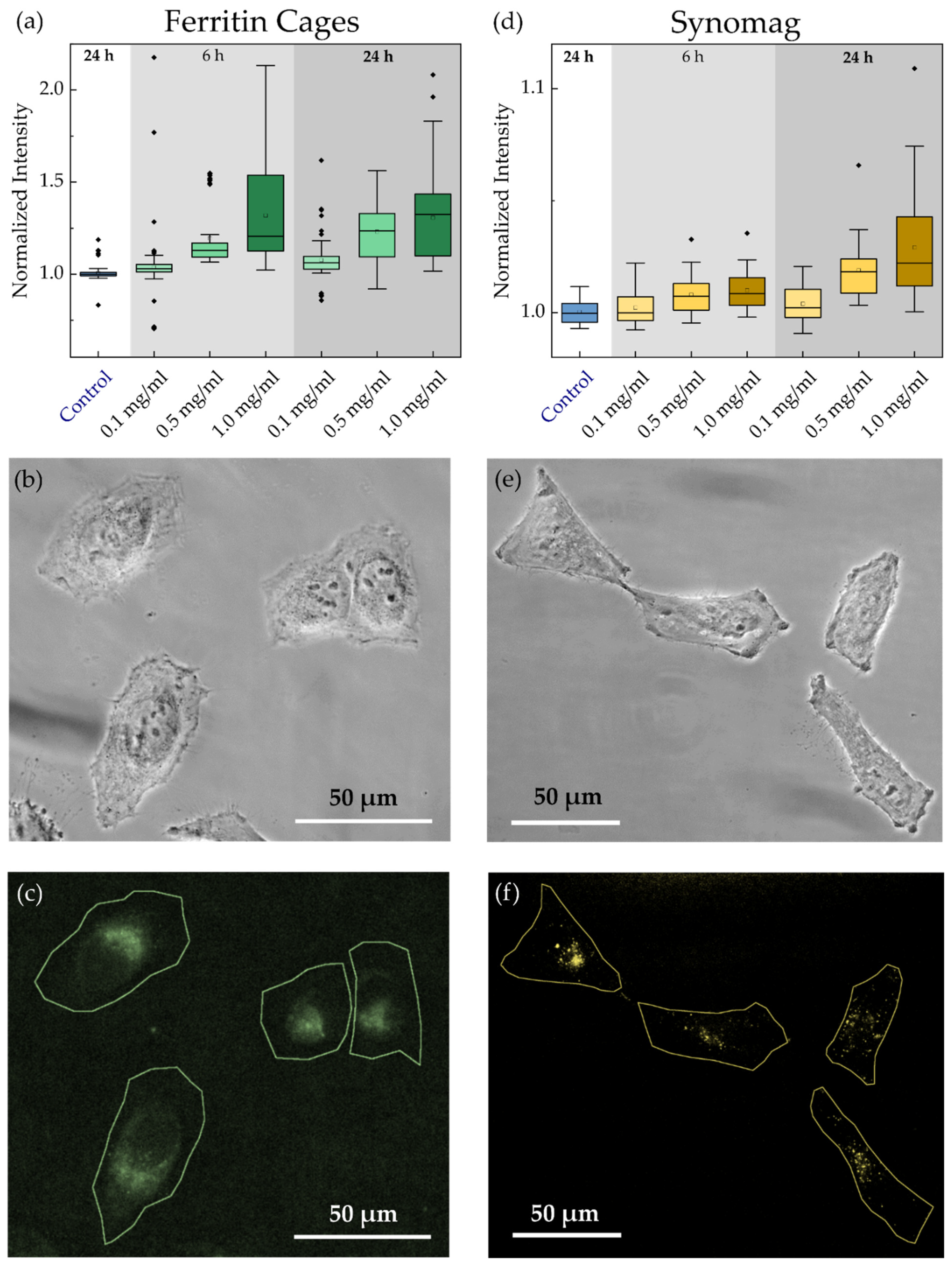 Nanomaterials 11 02267 g004