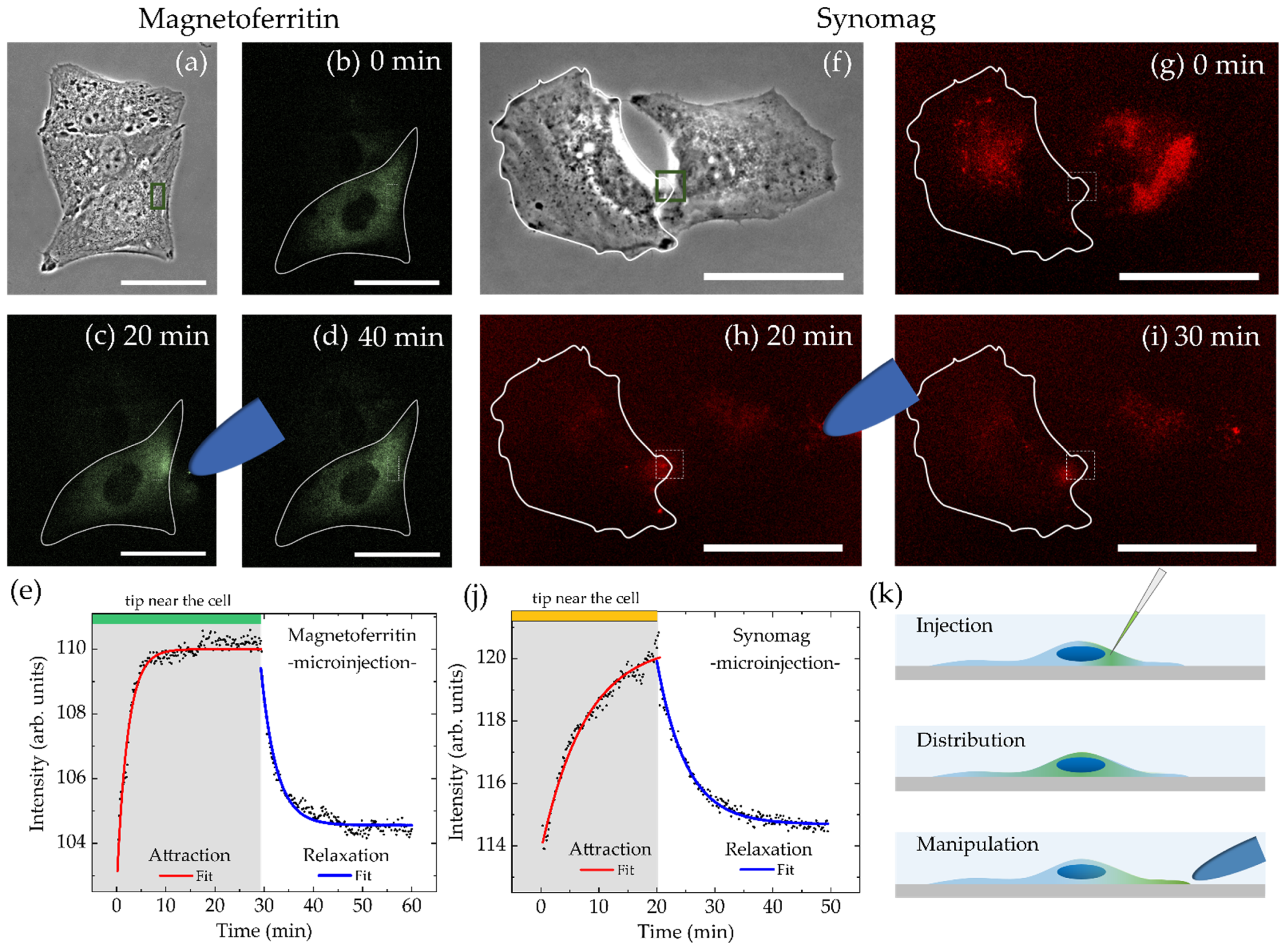 Nanomaterials 11 02267 g006