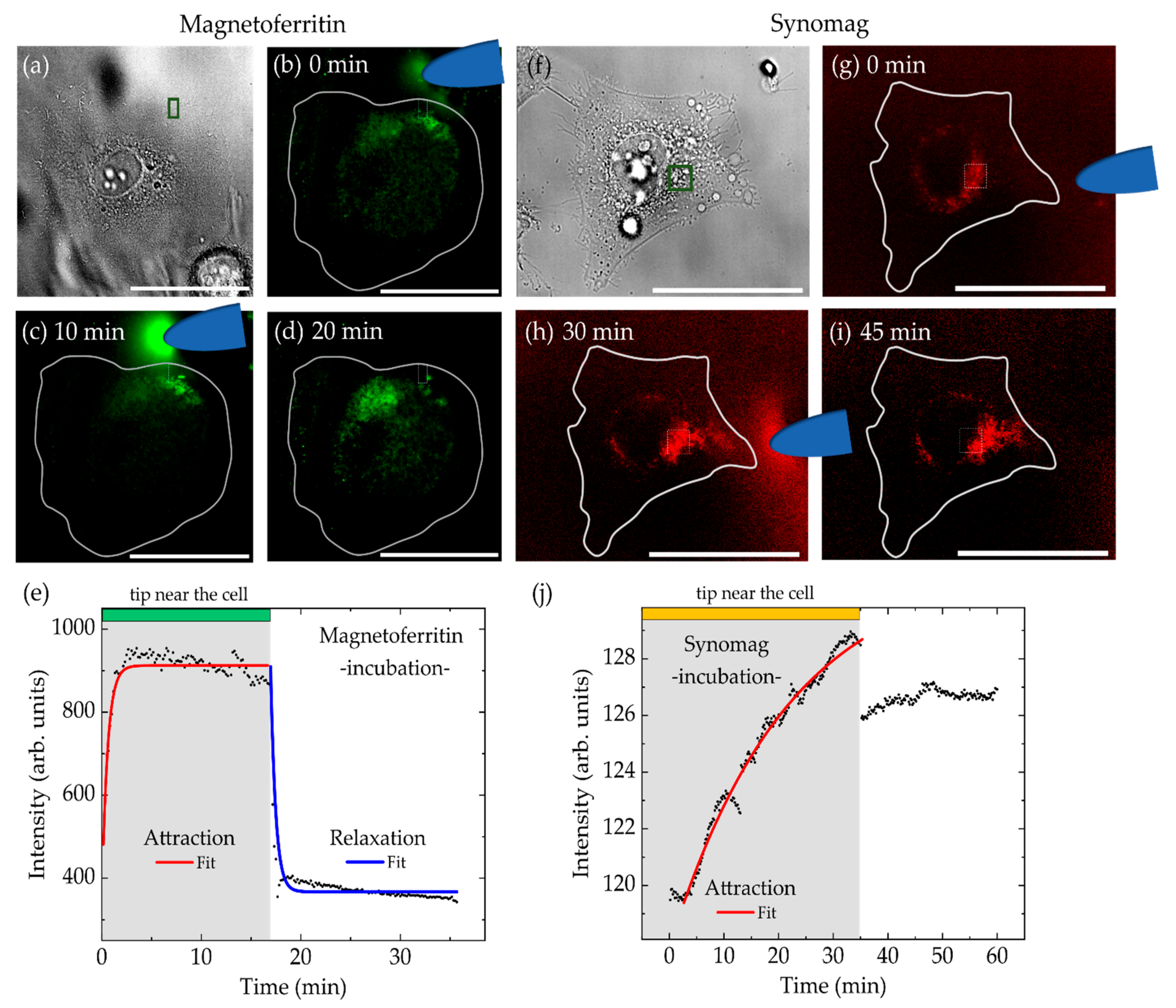 Nanomaterials 11 02267 g007