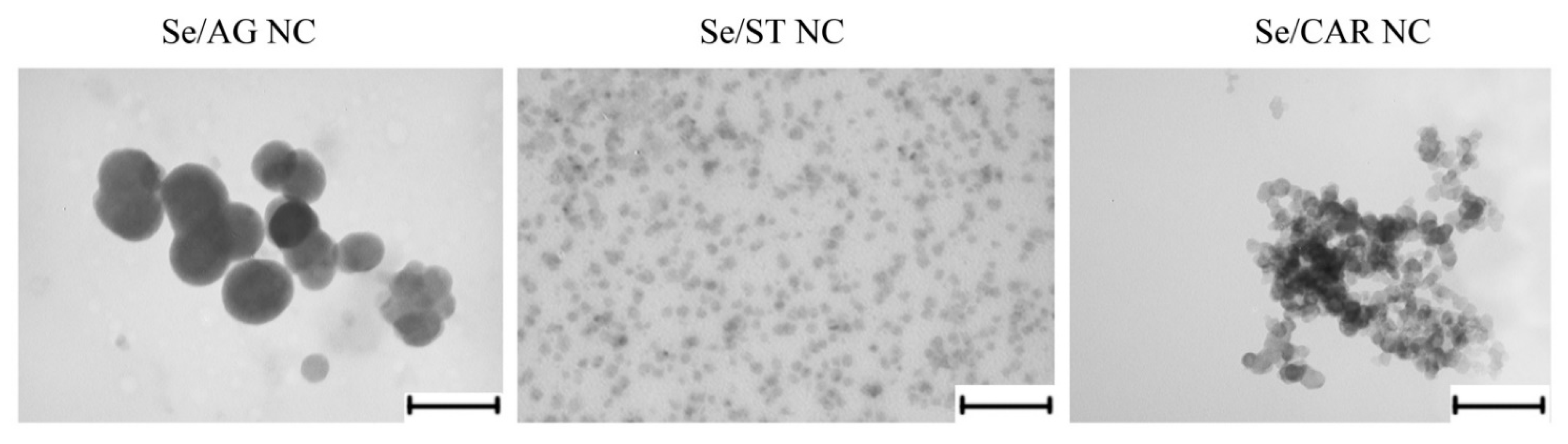 Nanomaterials 11 02274 g006 Nanomaterials 11 02274 g006