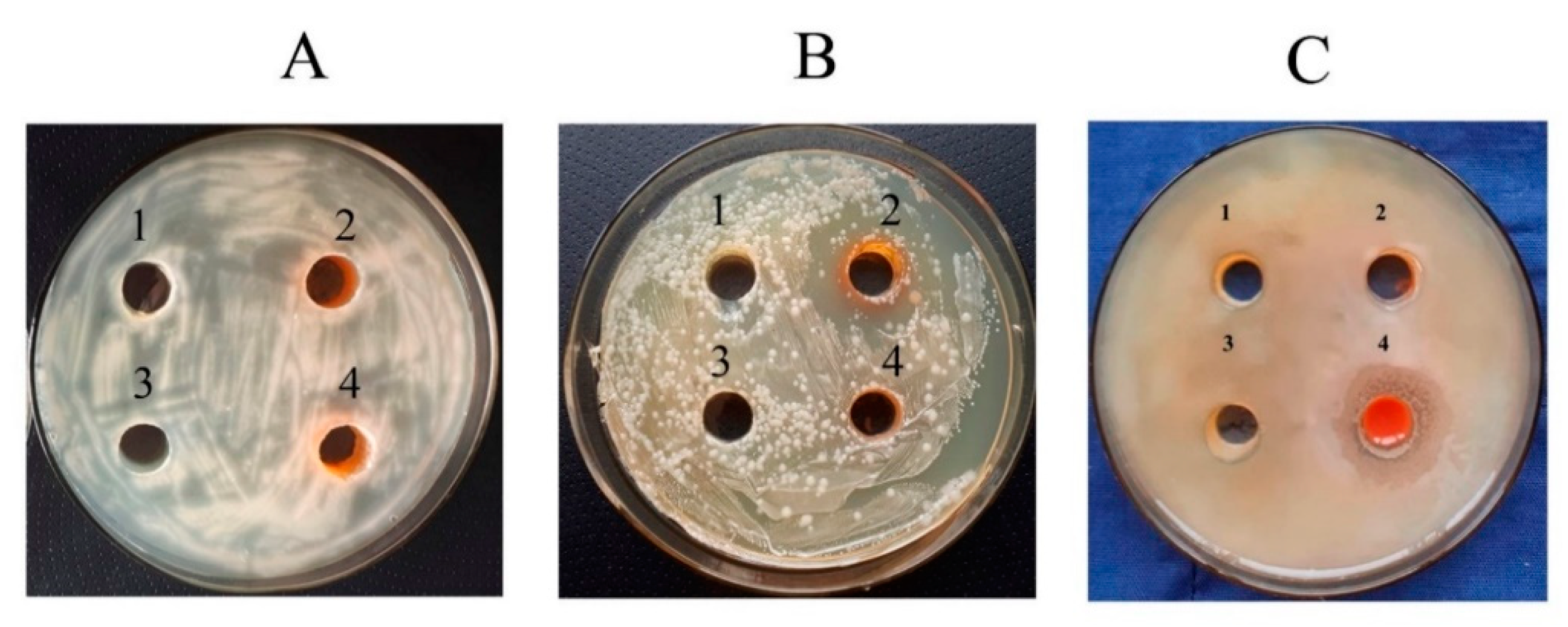Nanomaterials 11 02274 g007 Nanomaterials 11 02274 g007