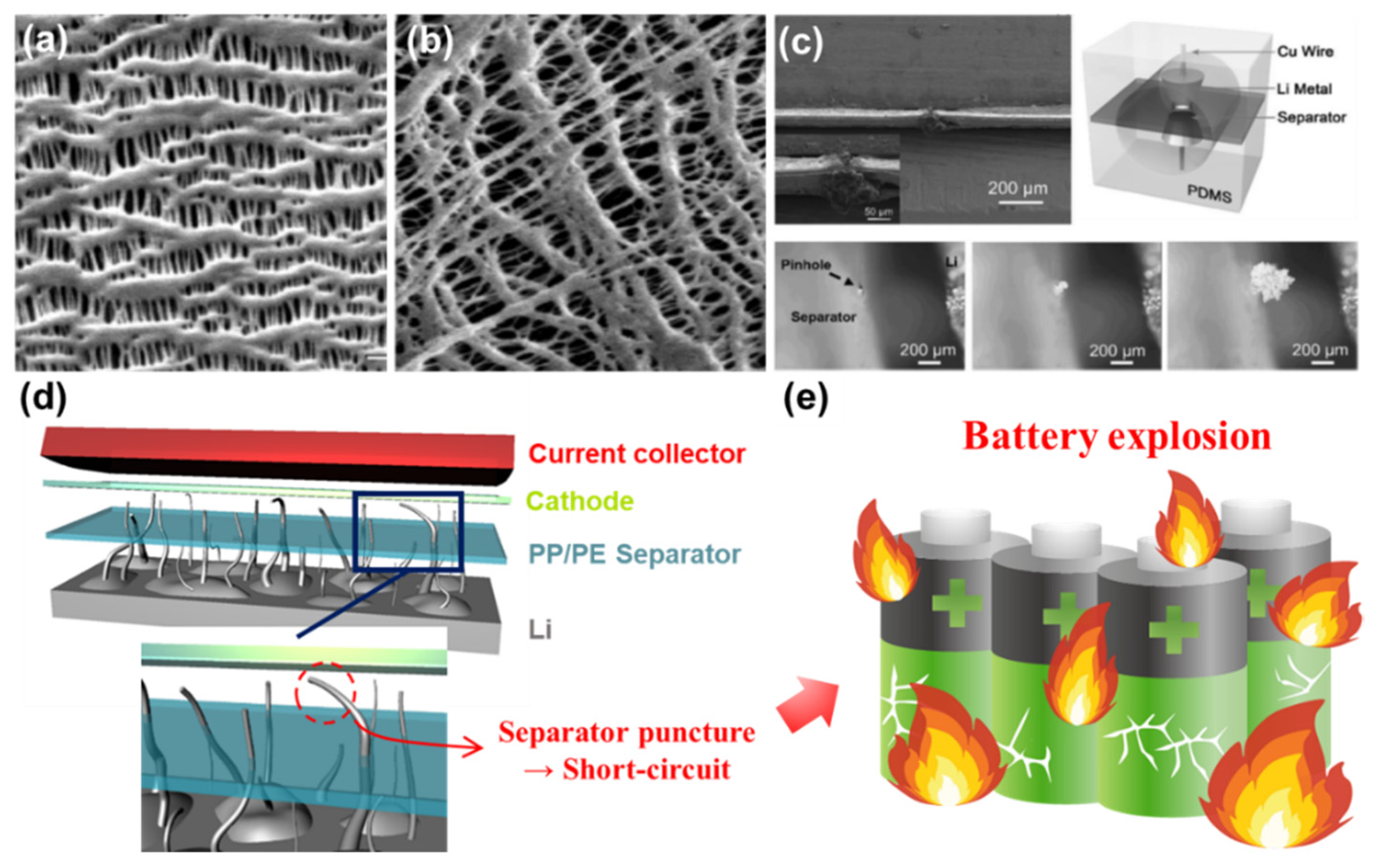 Nanomaterials 11 02275 g002