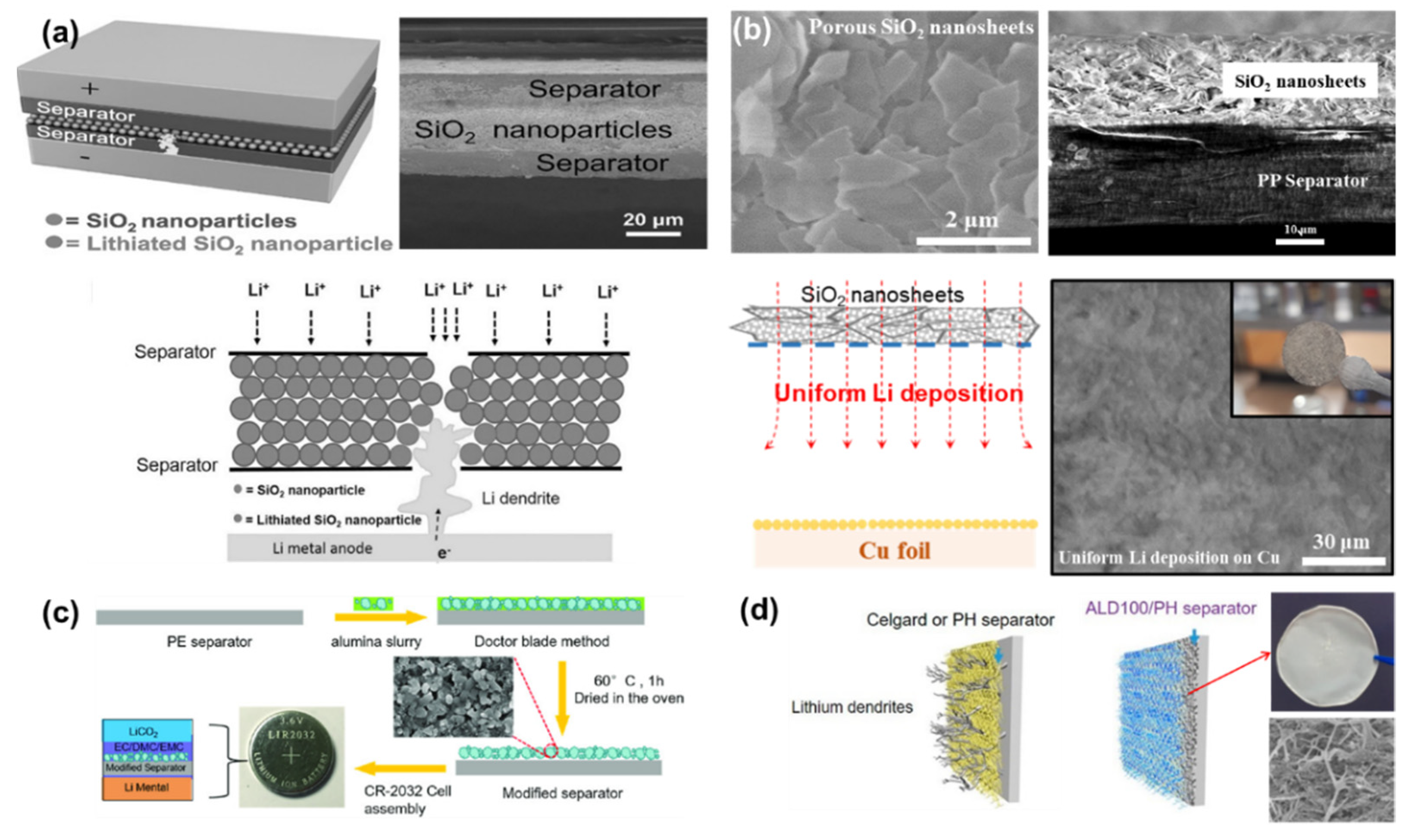 Nanomaterials 11 02275 g005