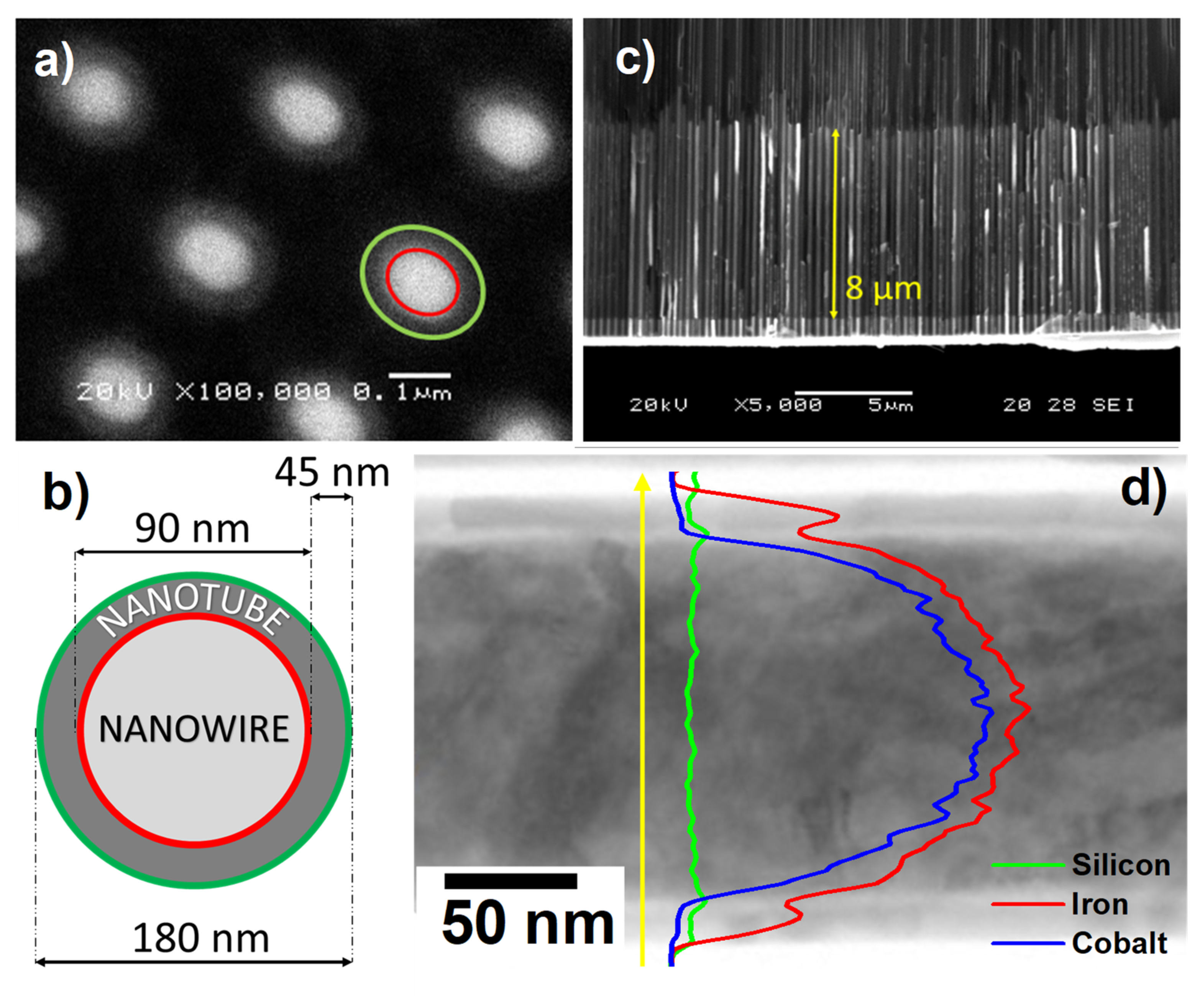 Nanomaterials 11 02282 g002