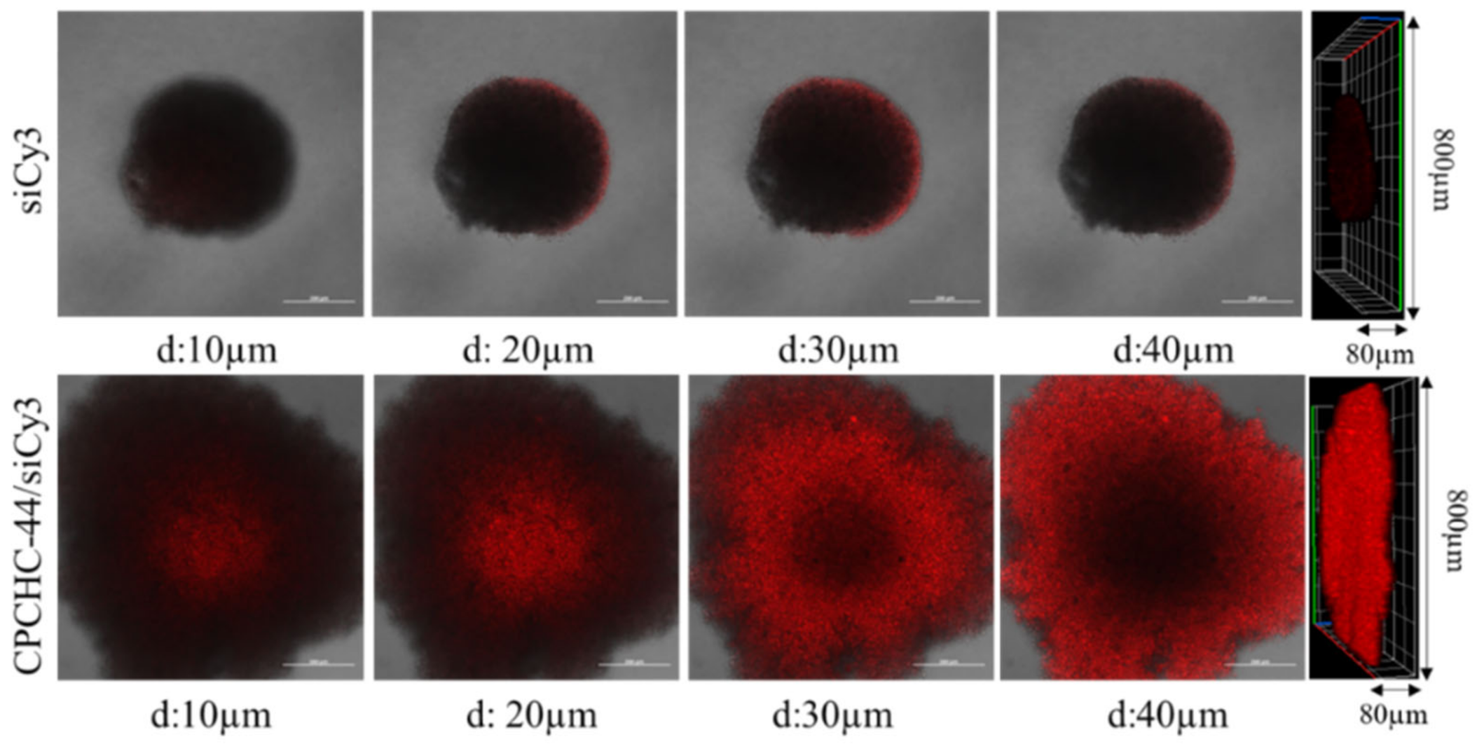 Nanomaterials 11 02312 g005