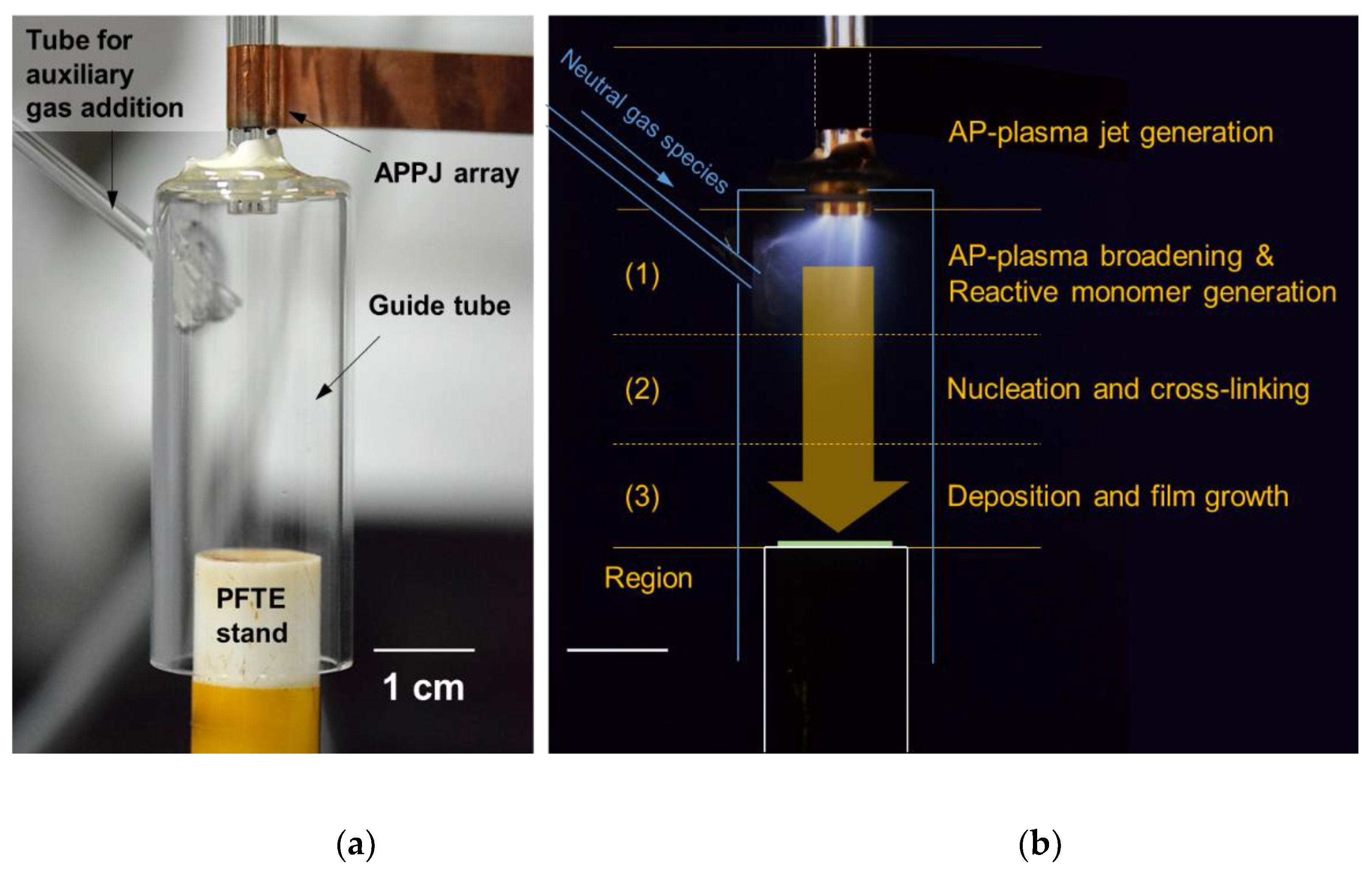 Nanomaterials 11 02315 g002