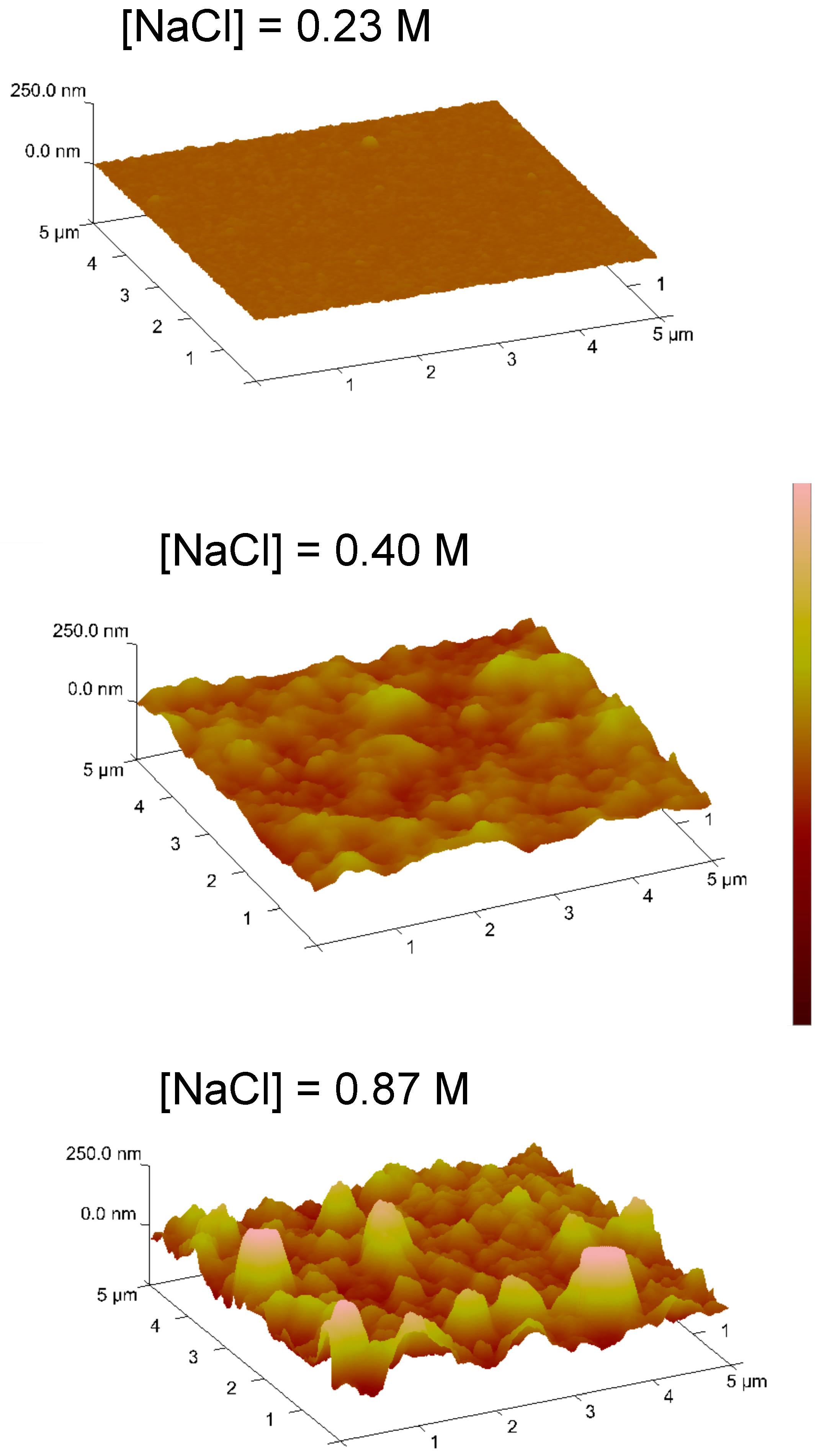Nanomaterials 11 02320 g002