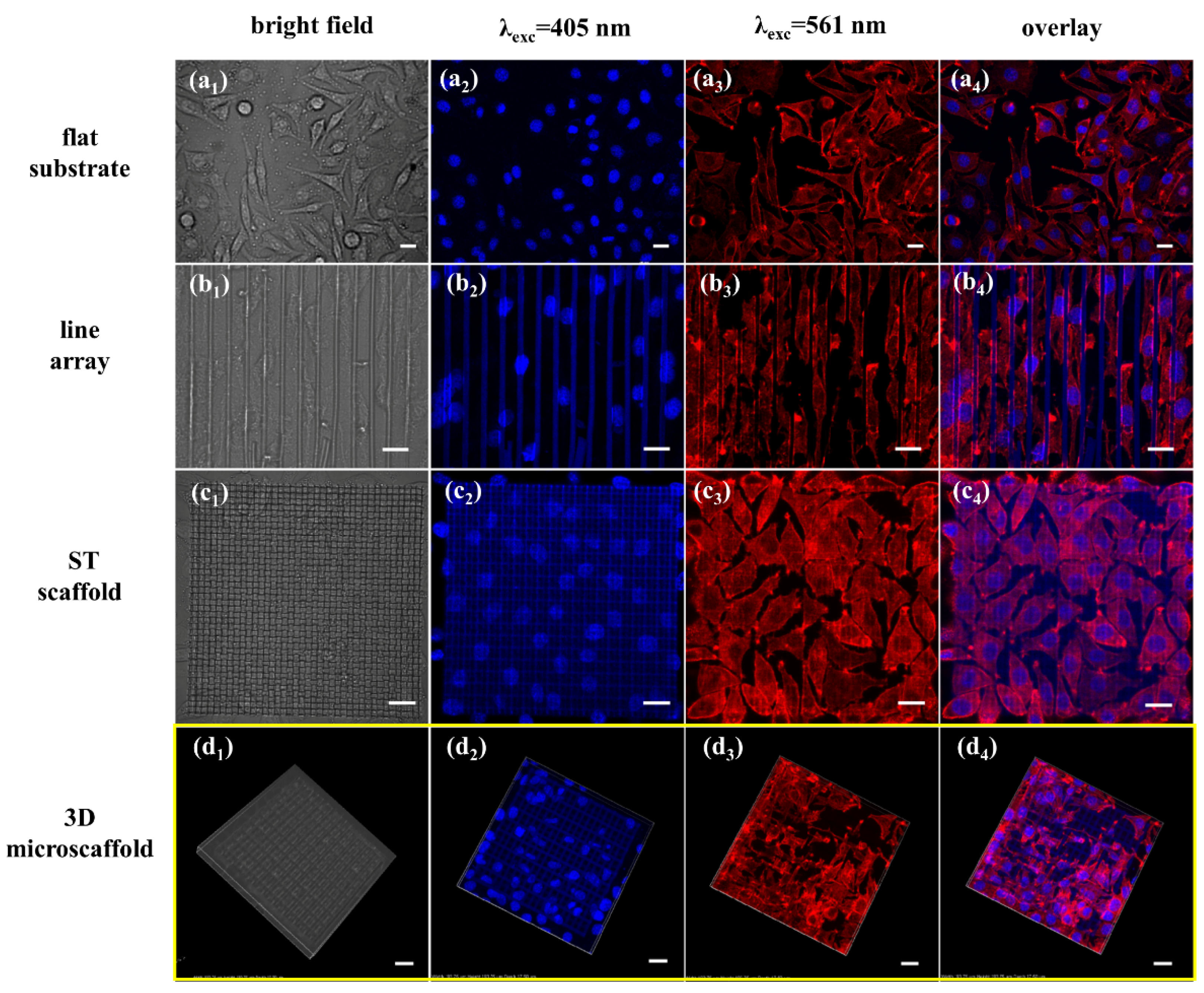 Nanomaterials 11 02325 g005