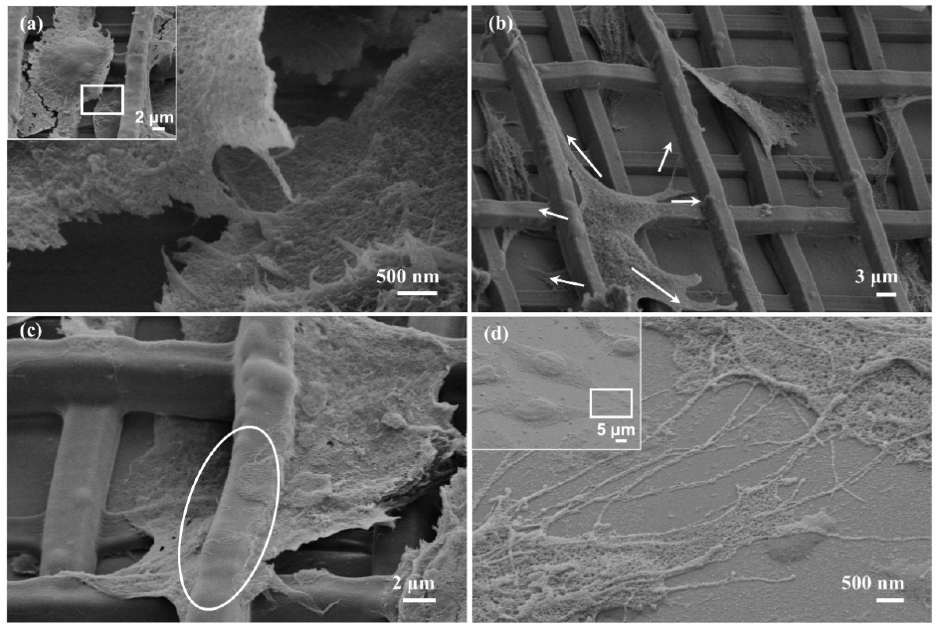 Nanomaterials 11 02325 g009