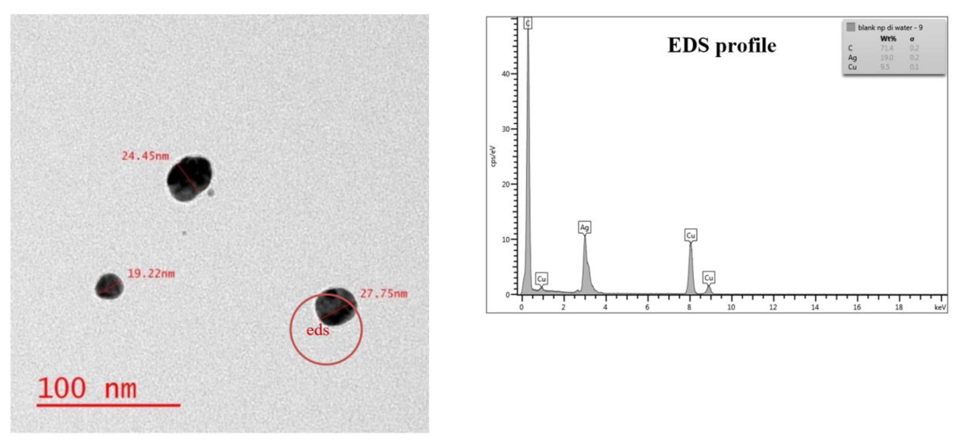 Nanomaterials 11 02330 g001