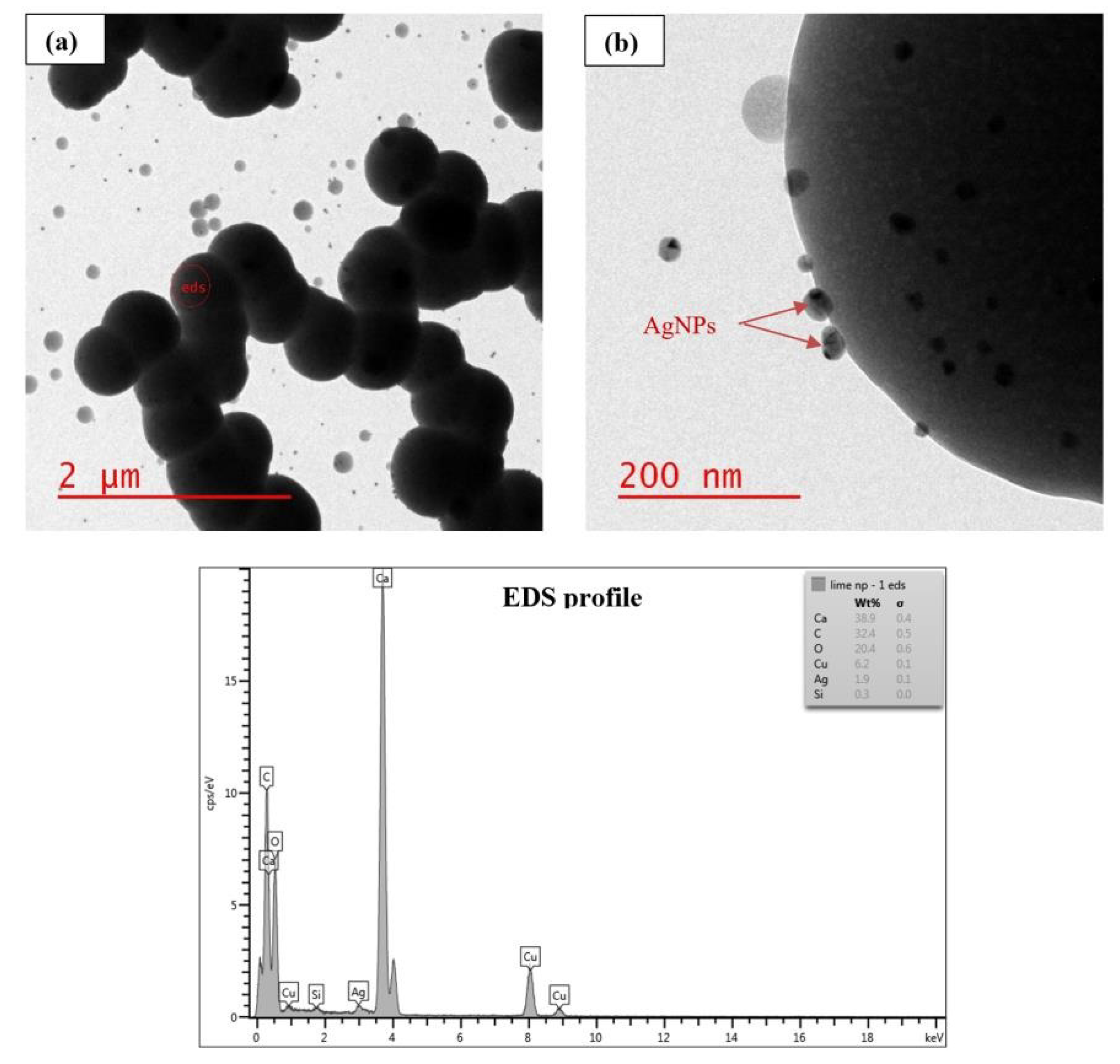 Nanomaterials 11 02330 g002