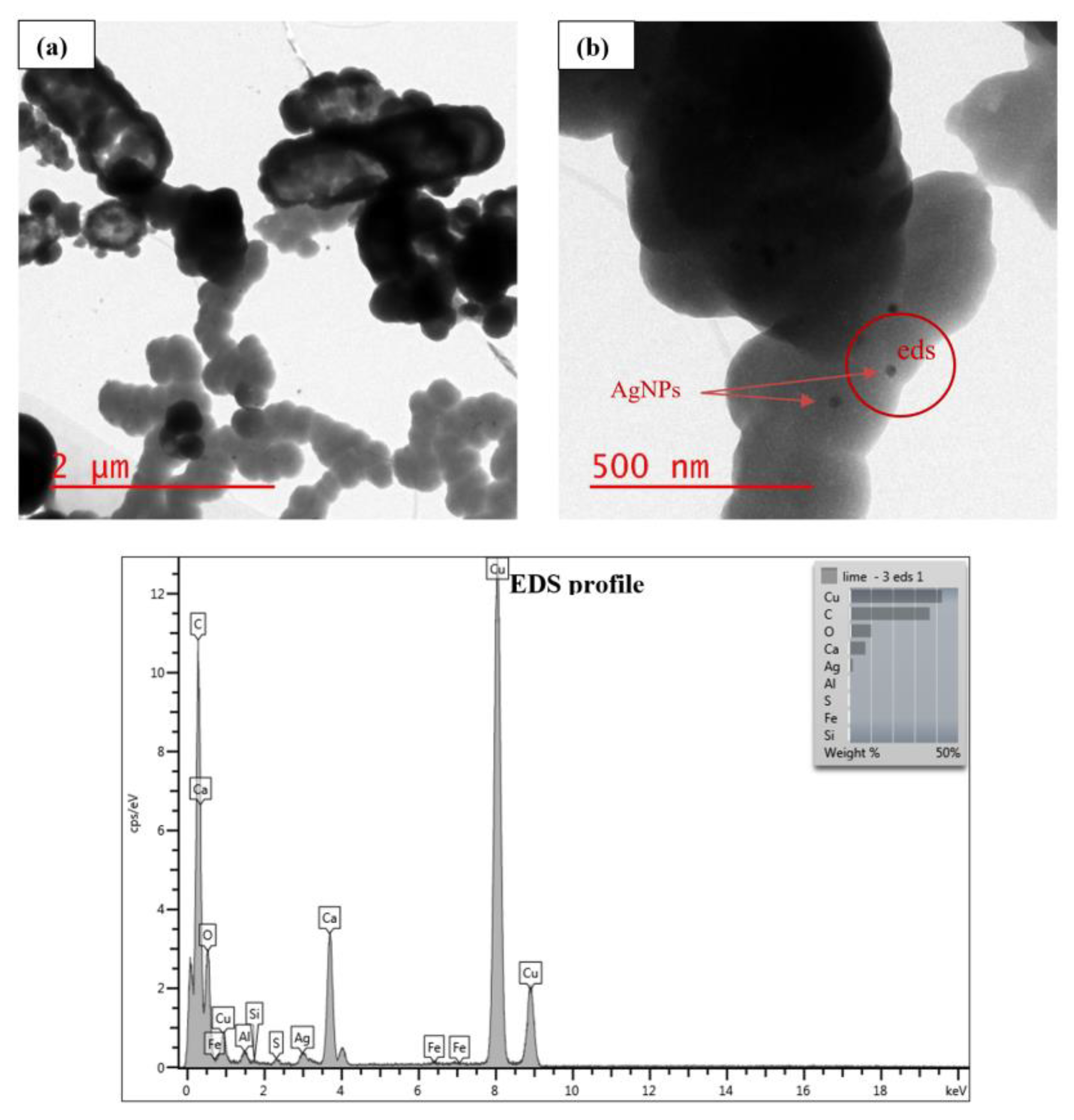 Nanomaterials 11 02330 g003