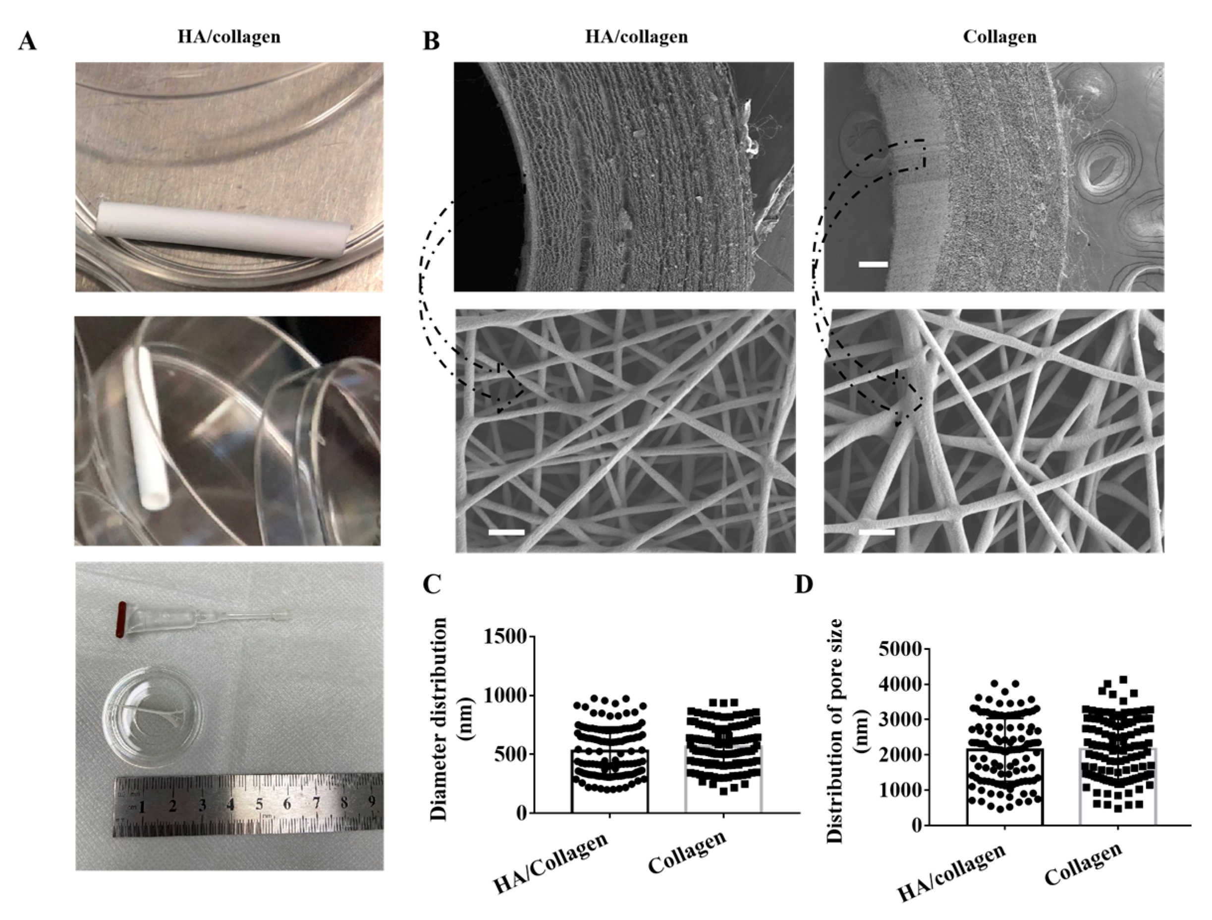 Nanomaterials 11 02334 g001