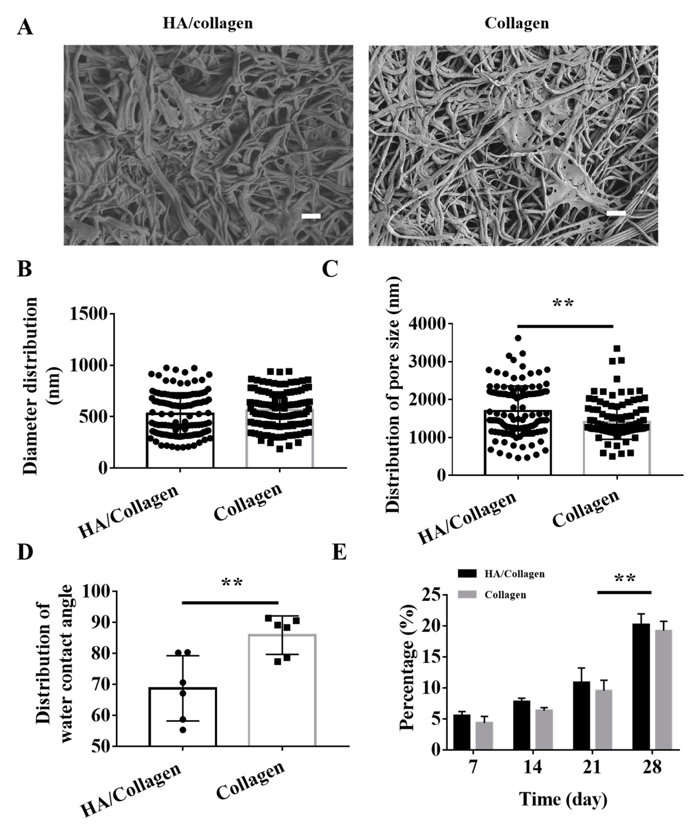 Nanomaterials 11 02334 g002