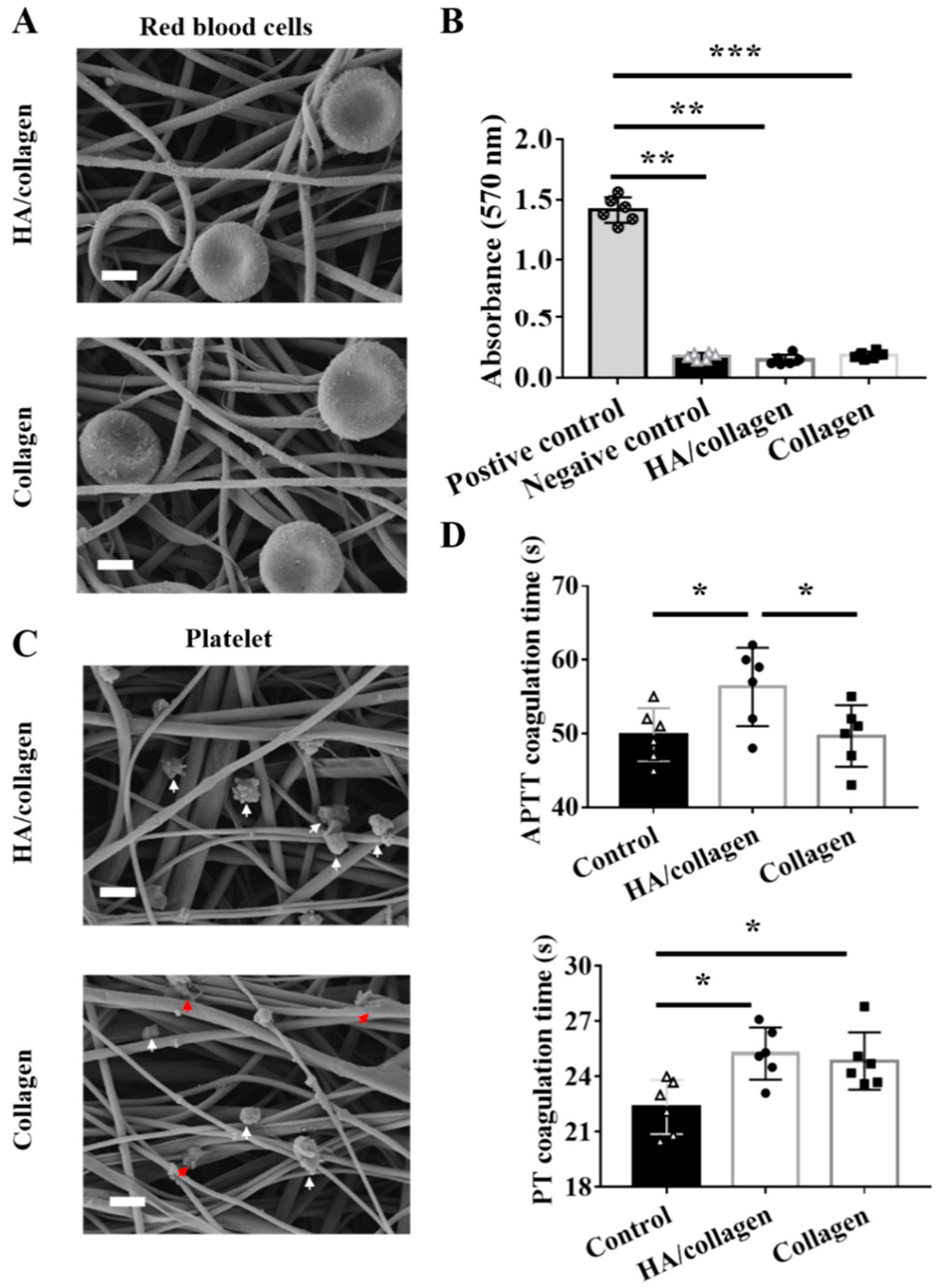 Nanomaterials 11 02334 g004