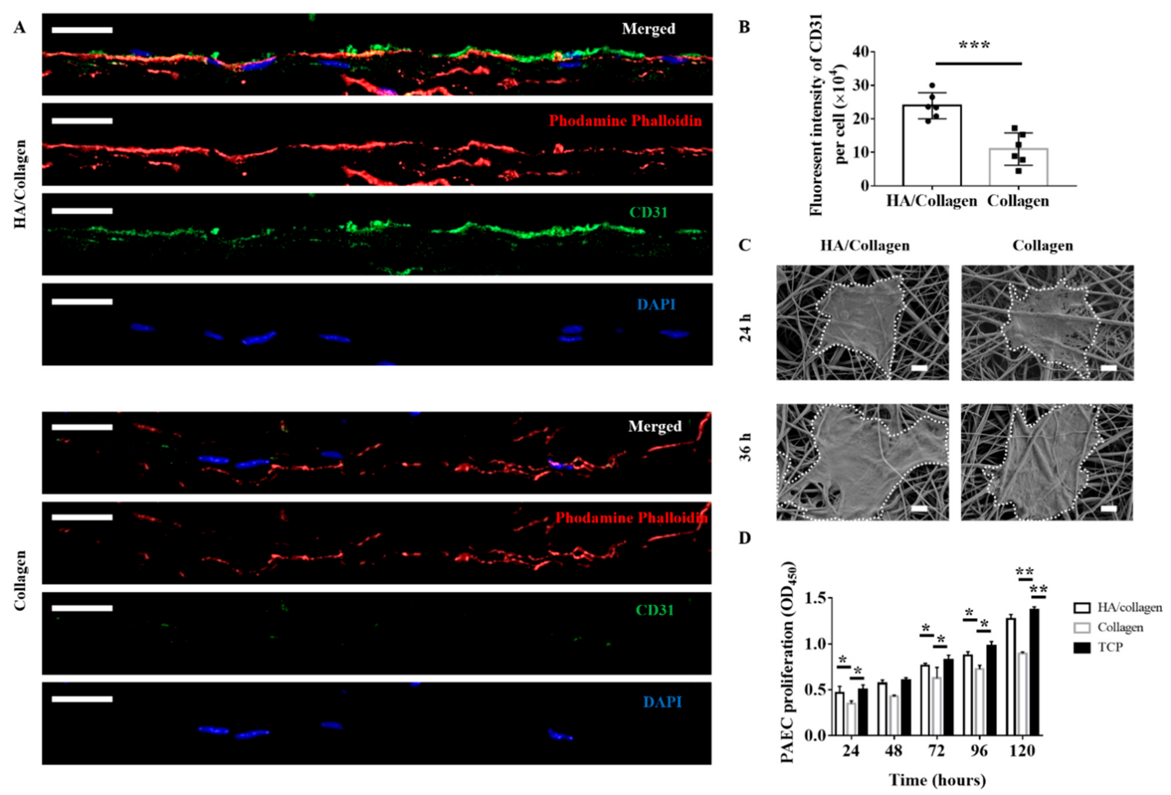 Nanomaterials 11 02334 g006