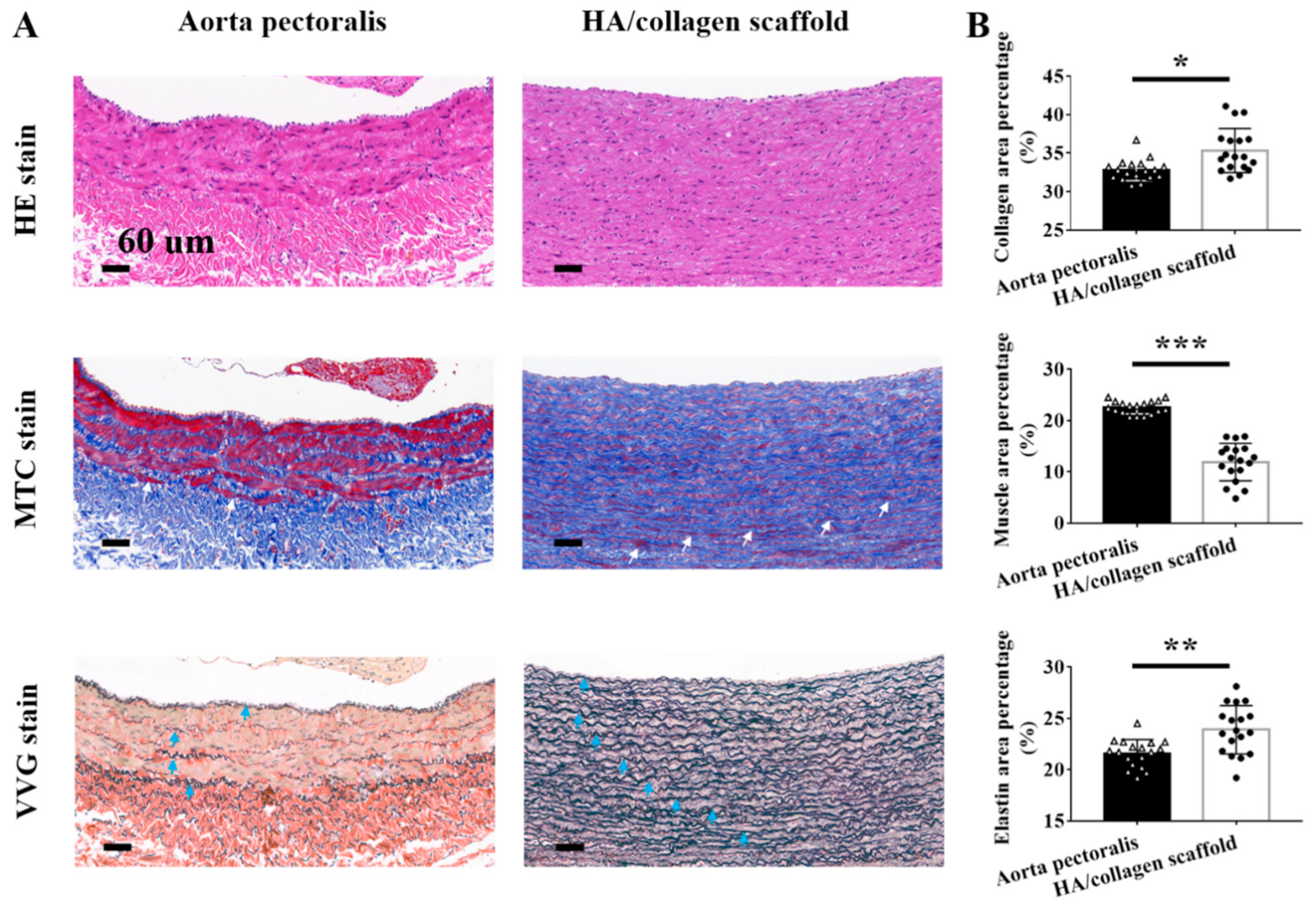 Nanomaterials 11 02334 g007