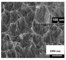 Nanomaterials 11 02336 i002
