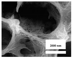 Nanomaterials 11 02336 i004