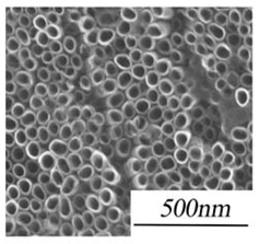 Nanomaterials 11 02336 i005
