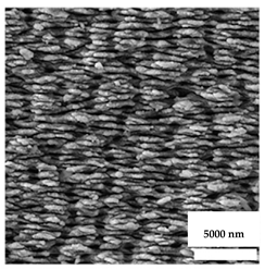 Nanomaterials 11 02336 i006