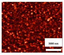 Nanomaterials 11 02336 i007
