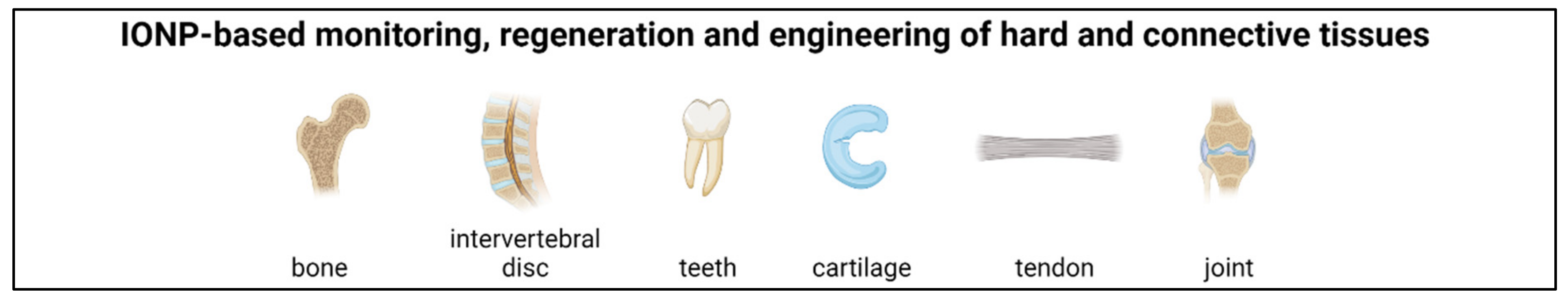 Nanomaterials 11 02337 g004 Nanomaterials 11 02337 g004