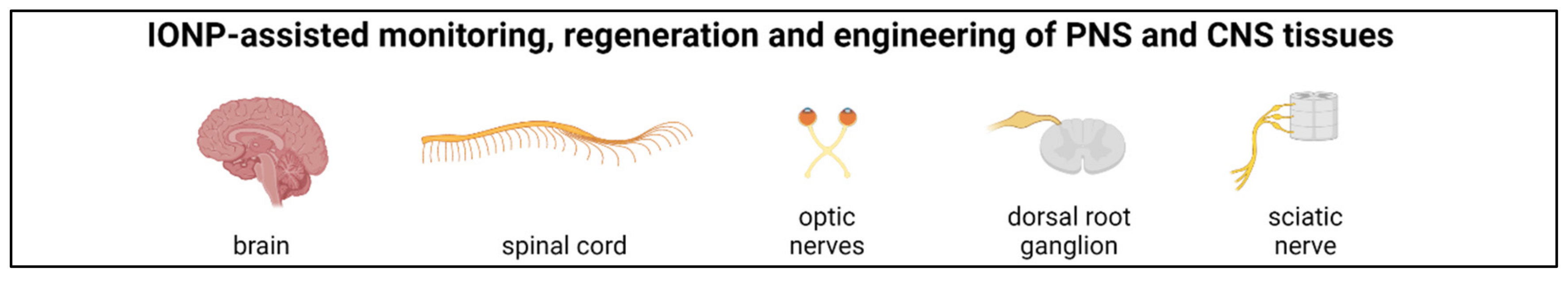 Nanomaterials 11 02337 g006 Nanomaterials 11 02337 g006