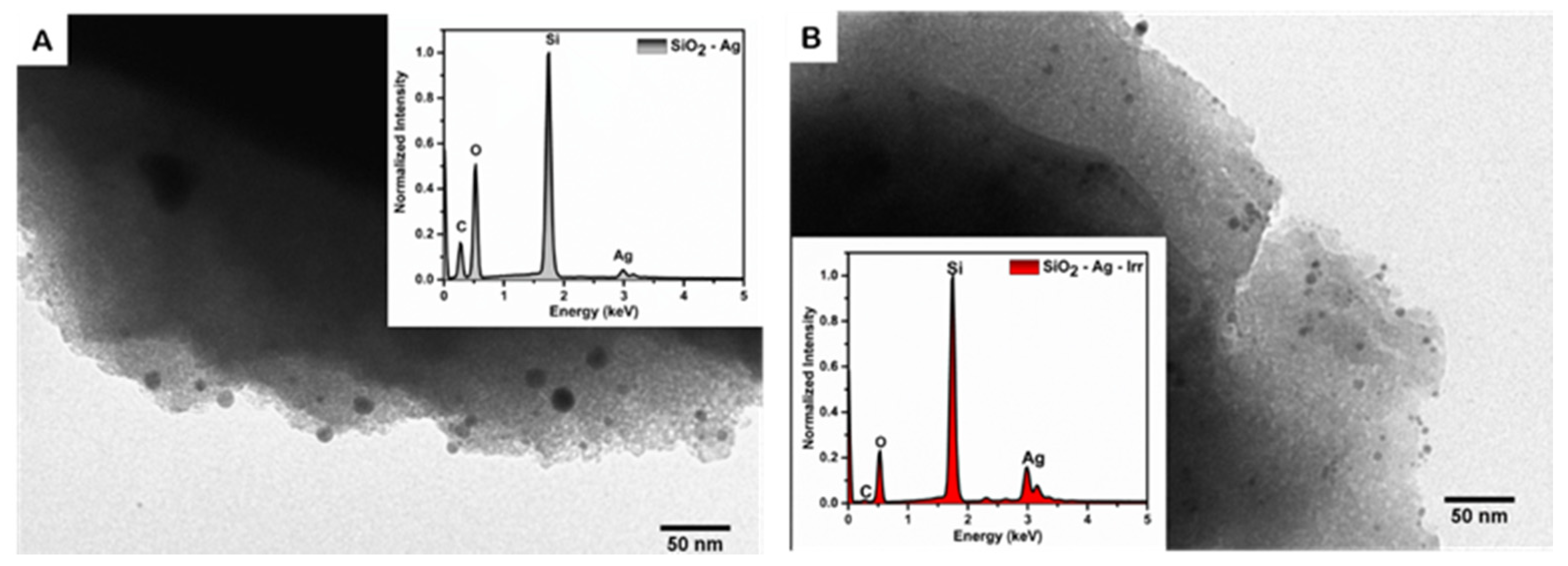 Nanomaterials 11 02340 g002