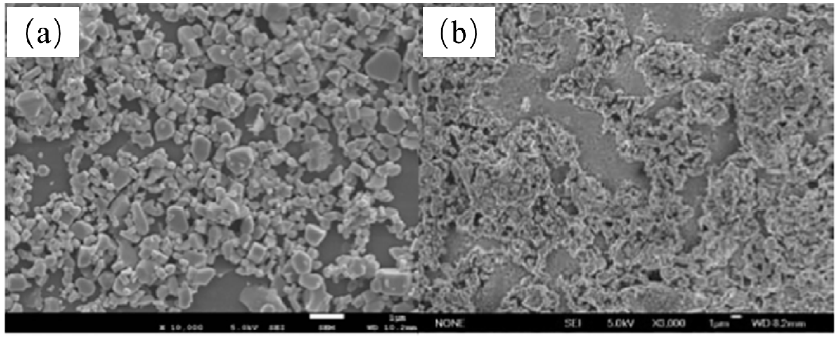 Nanomaterials 11 02345 g003