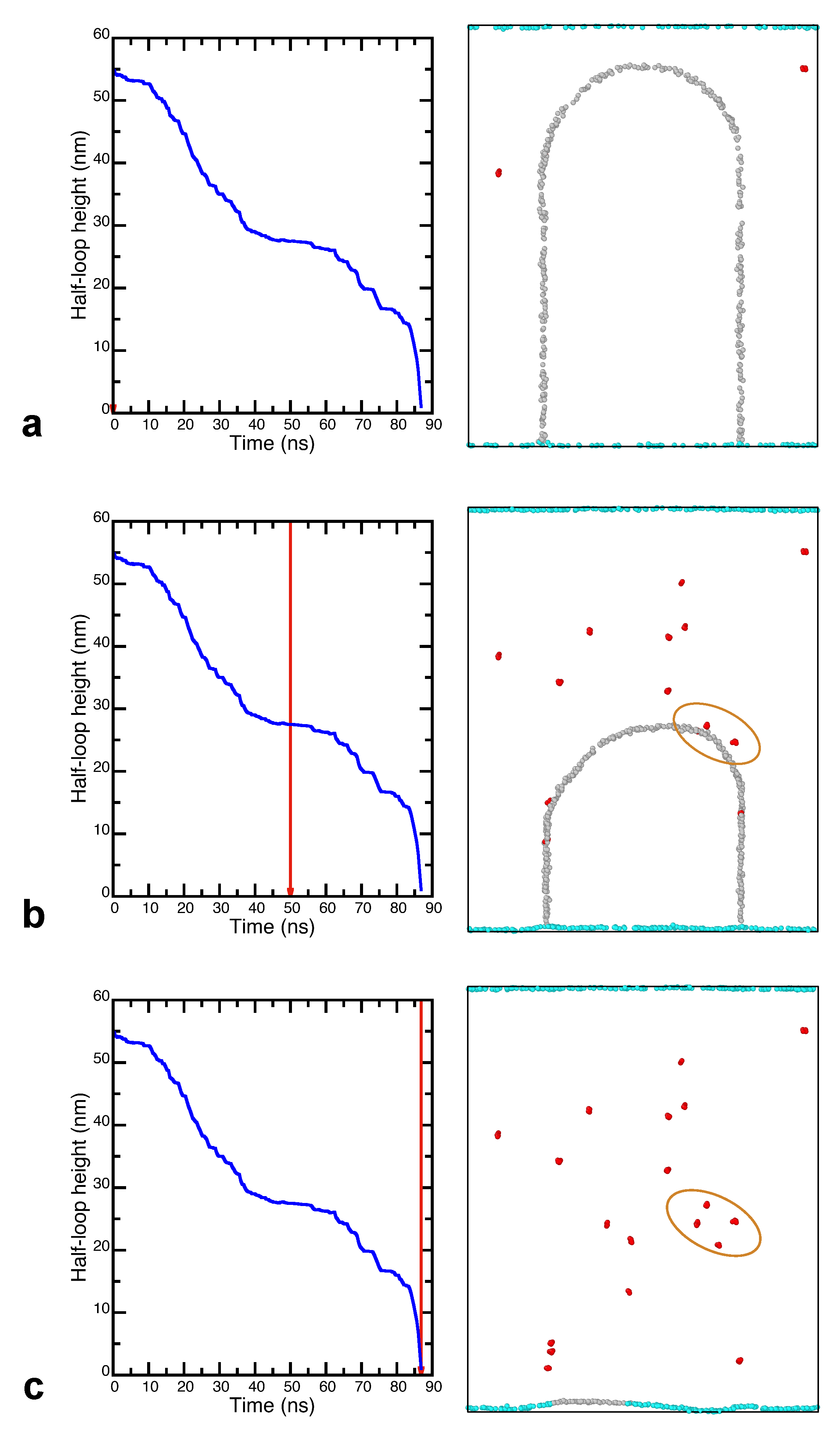 Nanomaterials 11 02348 g005